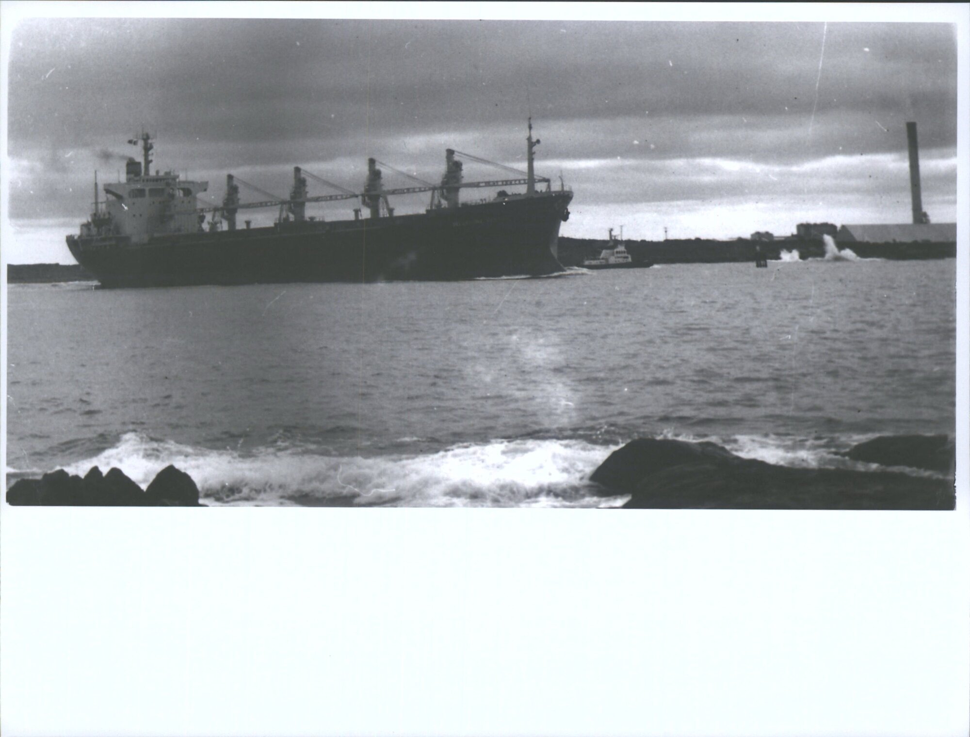 BELLADONA VENTURE (3)