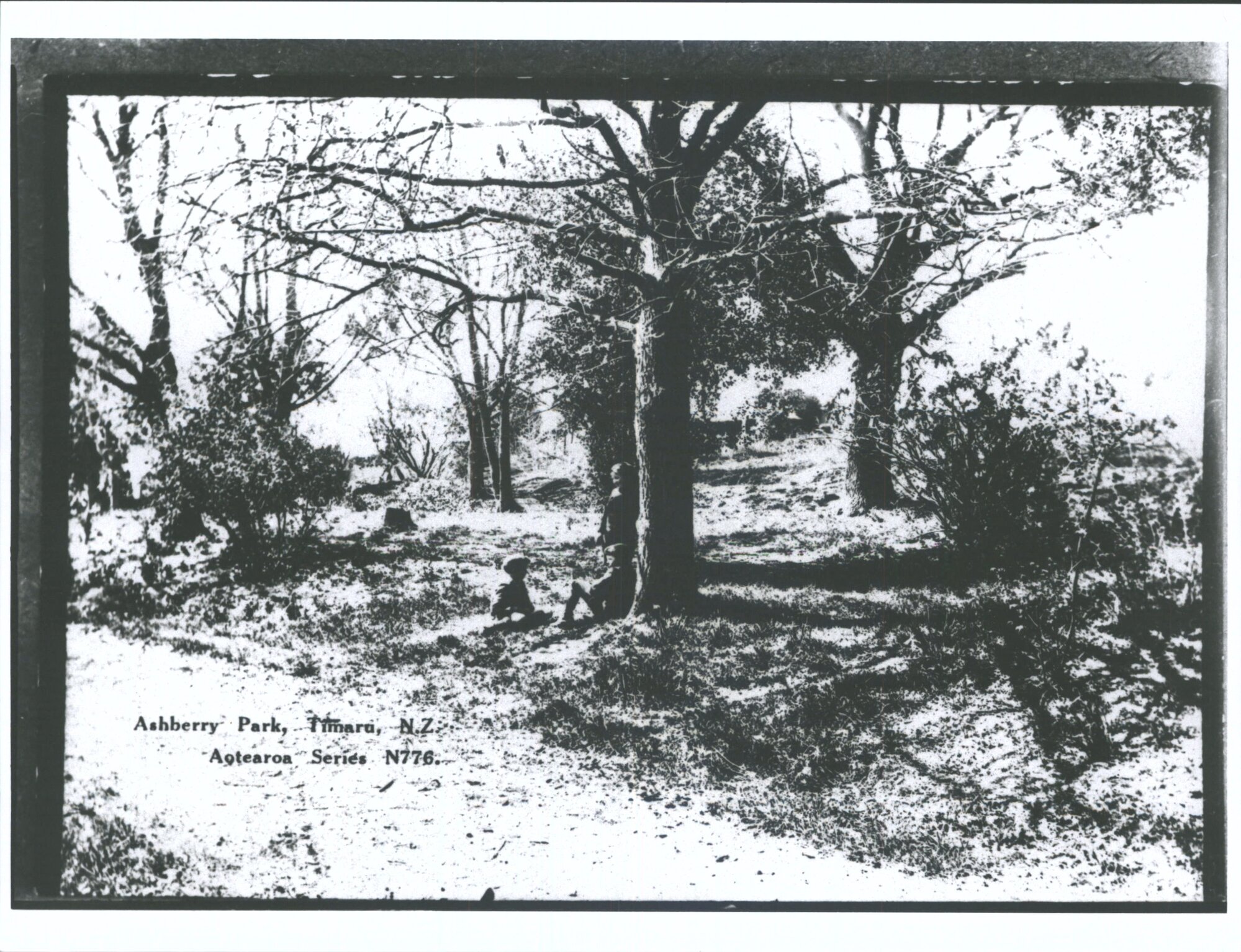 Ashberry Park, Timaru, N.Z.