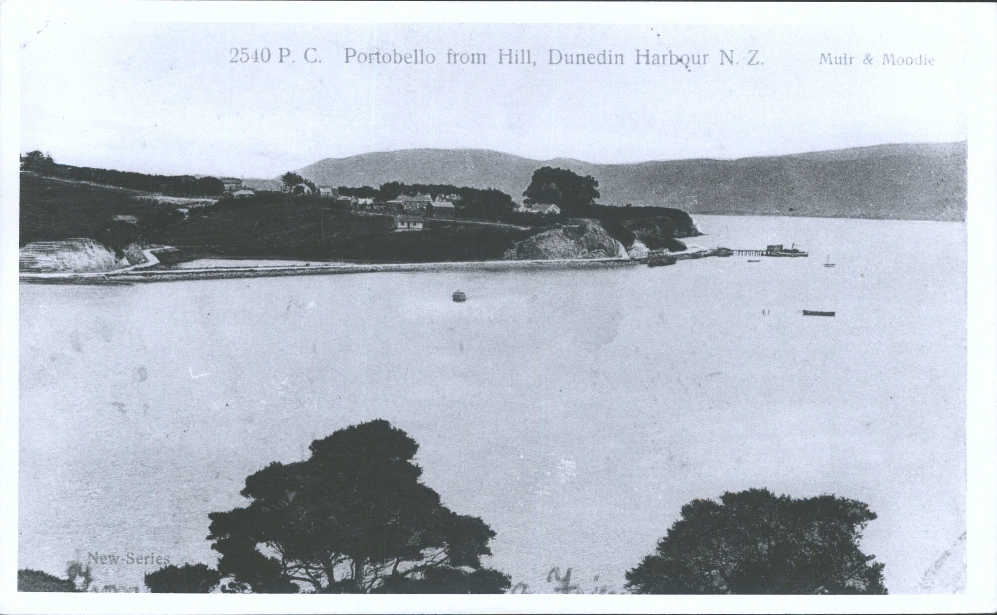 2330_01_016A.jpg