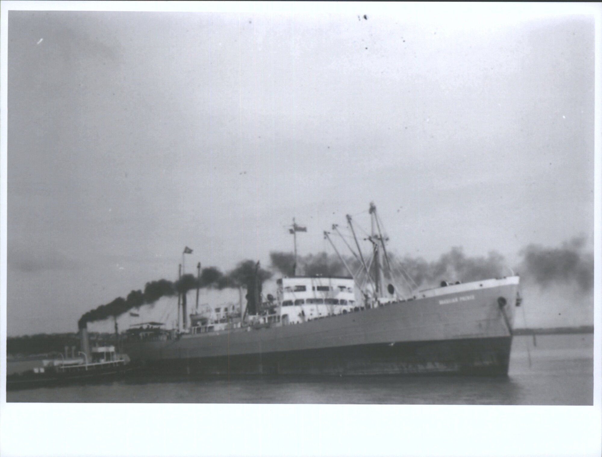 BRAZILIAN PRINCE (2)