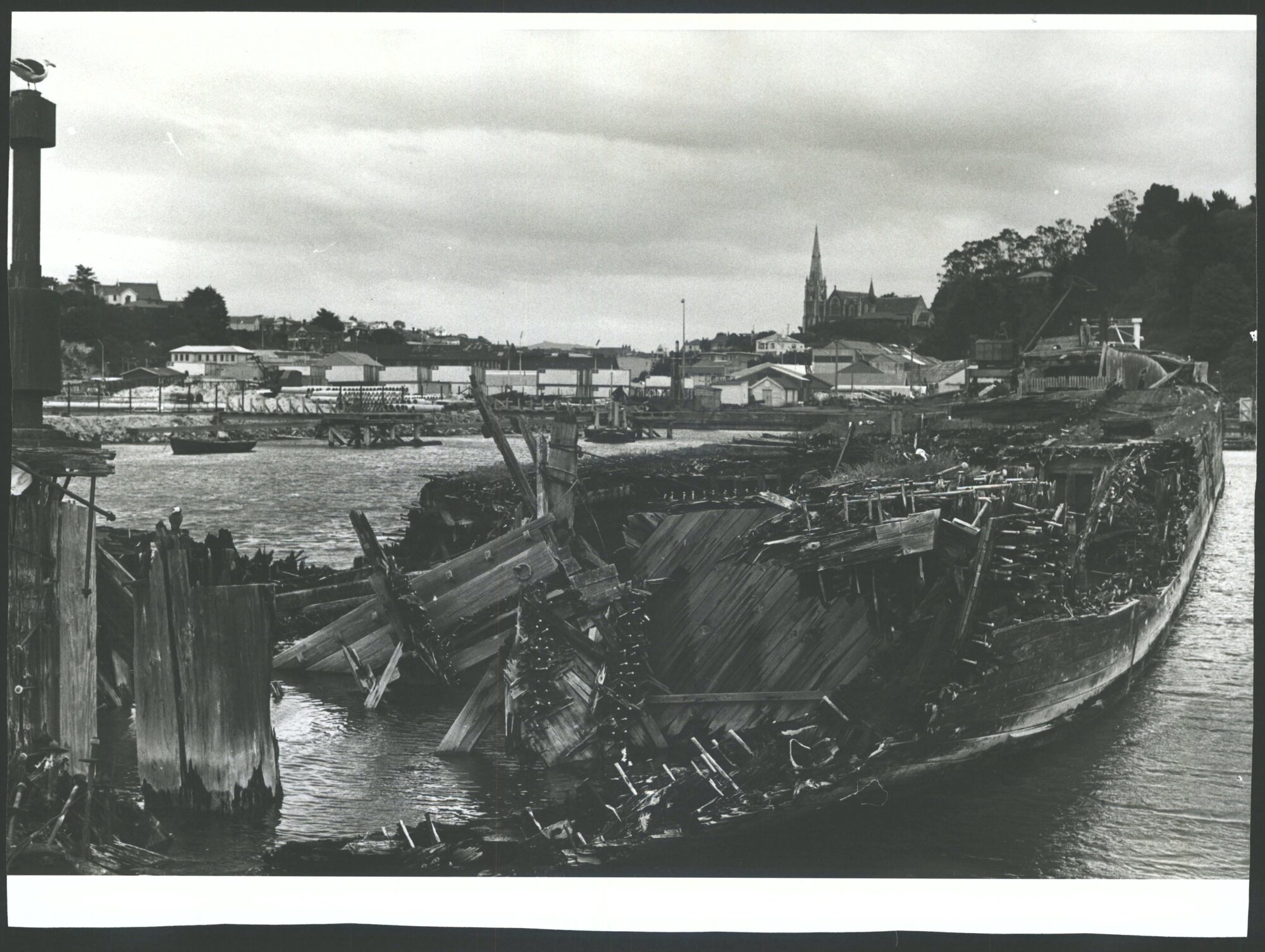 [BROXTON (Coal Carrier)]