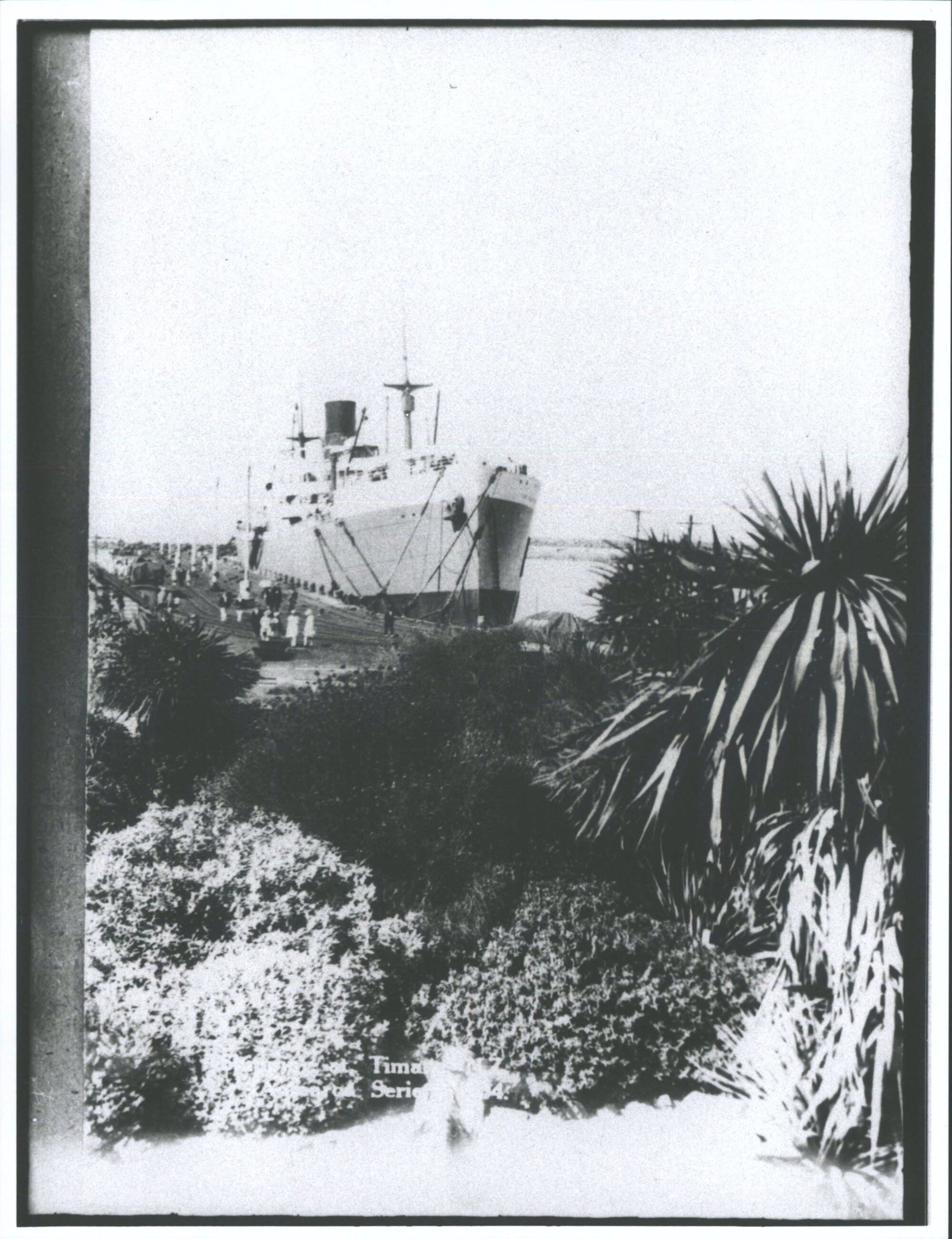 Ship at Timaru Harbour
