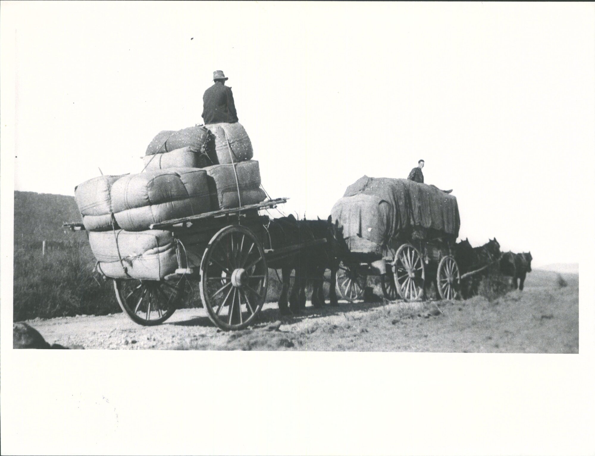 Carting wool to Buckingham's