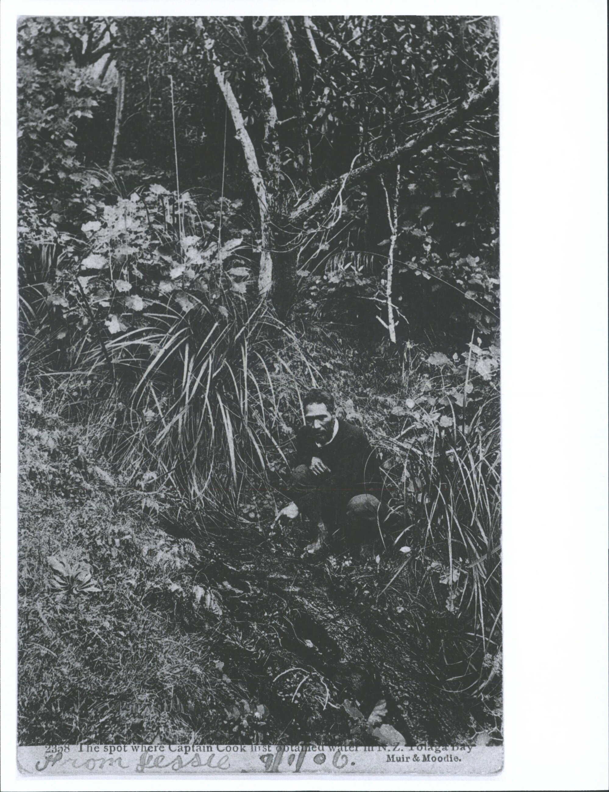 The spot where Captain Cook first obtained water in N.Z.