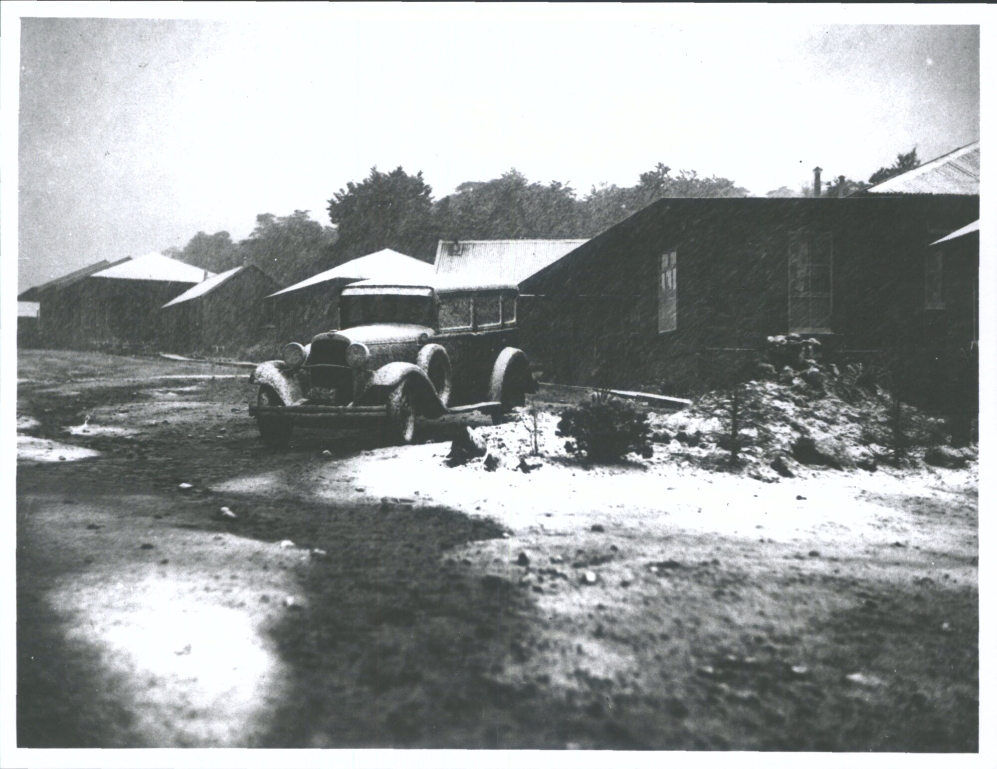 Snowfall at Tongariro National Park