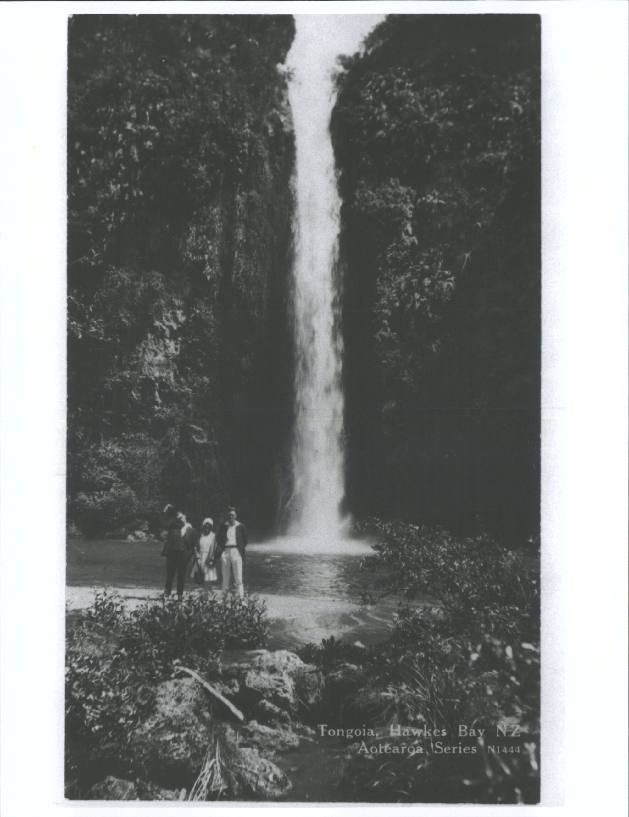 Tongoia, Hawkes Bay, N.Z.