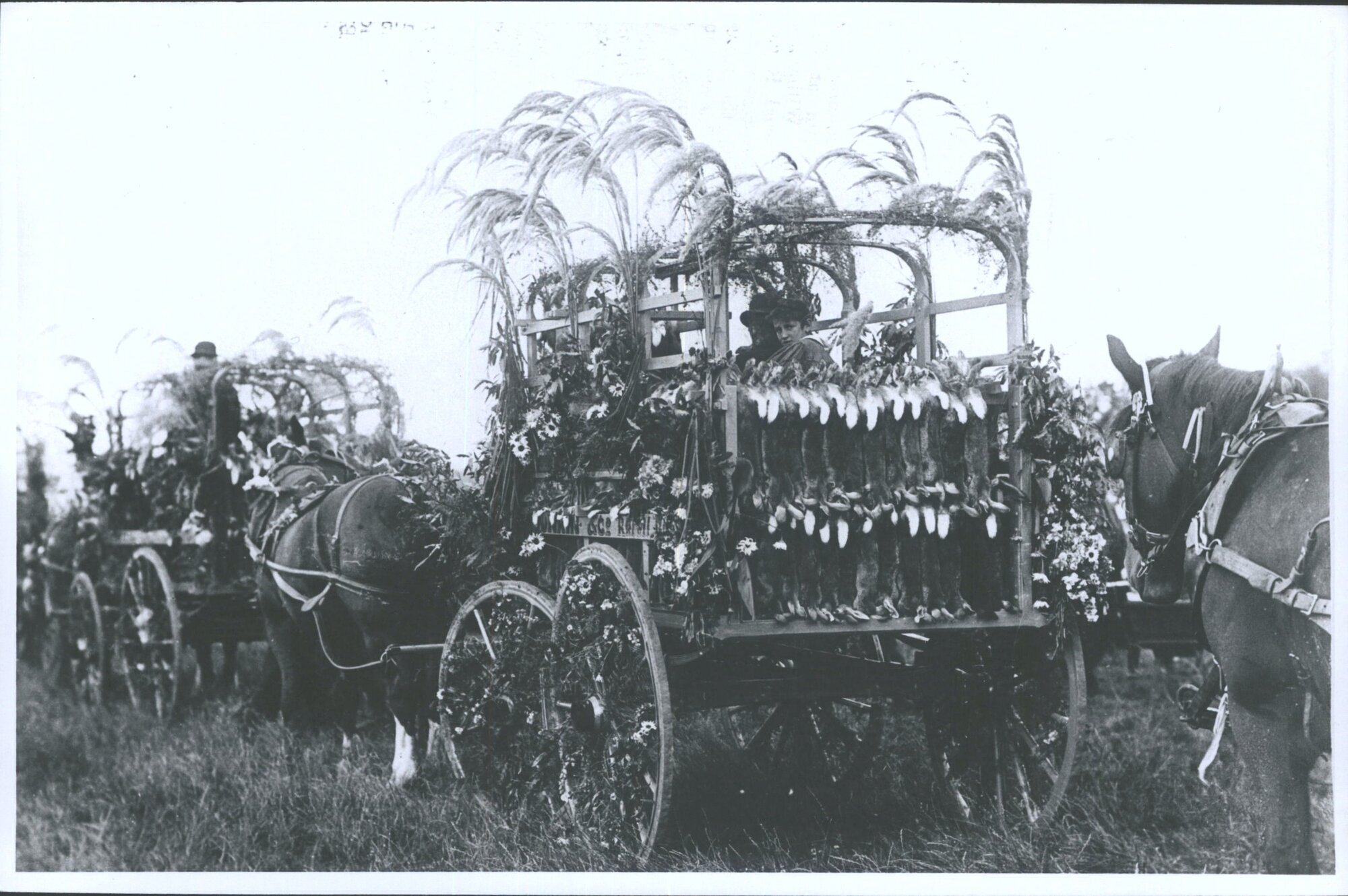 Decorated Vehicles at a Show, Caledonian Ground