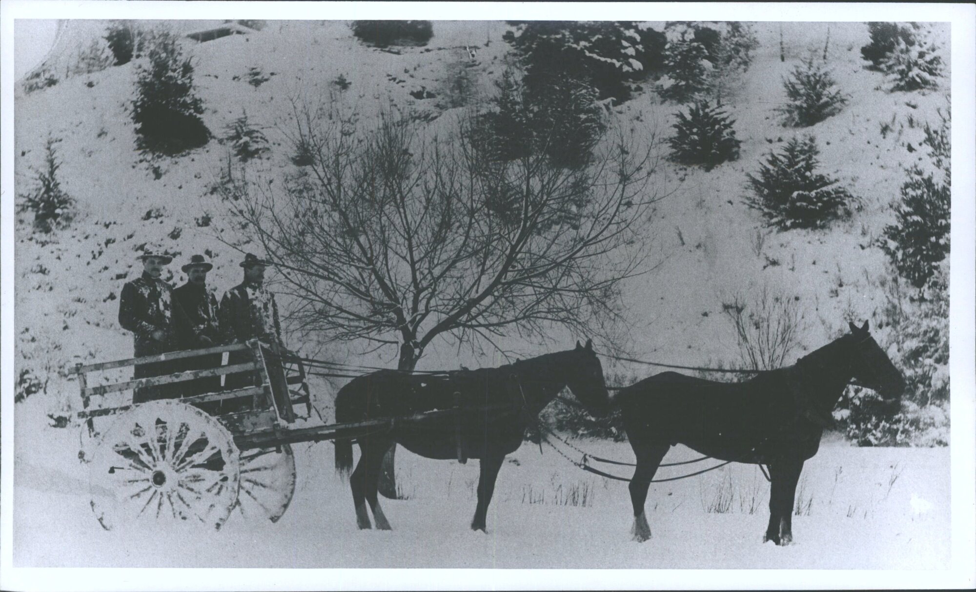 Tonkin &amp; Co. at Lawrence