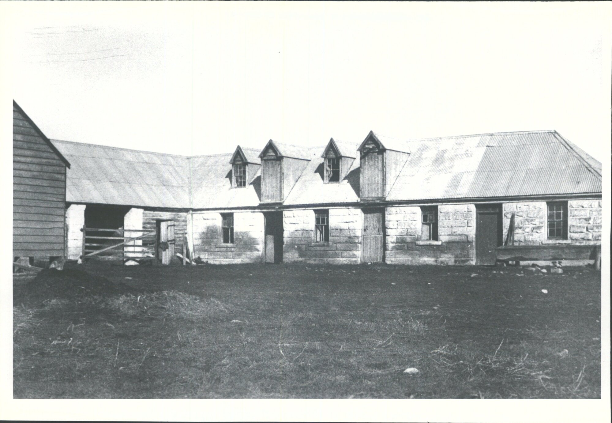 Draught Stable, Totara