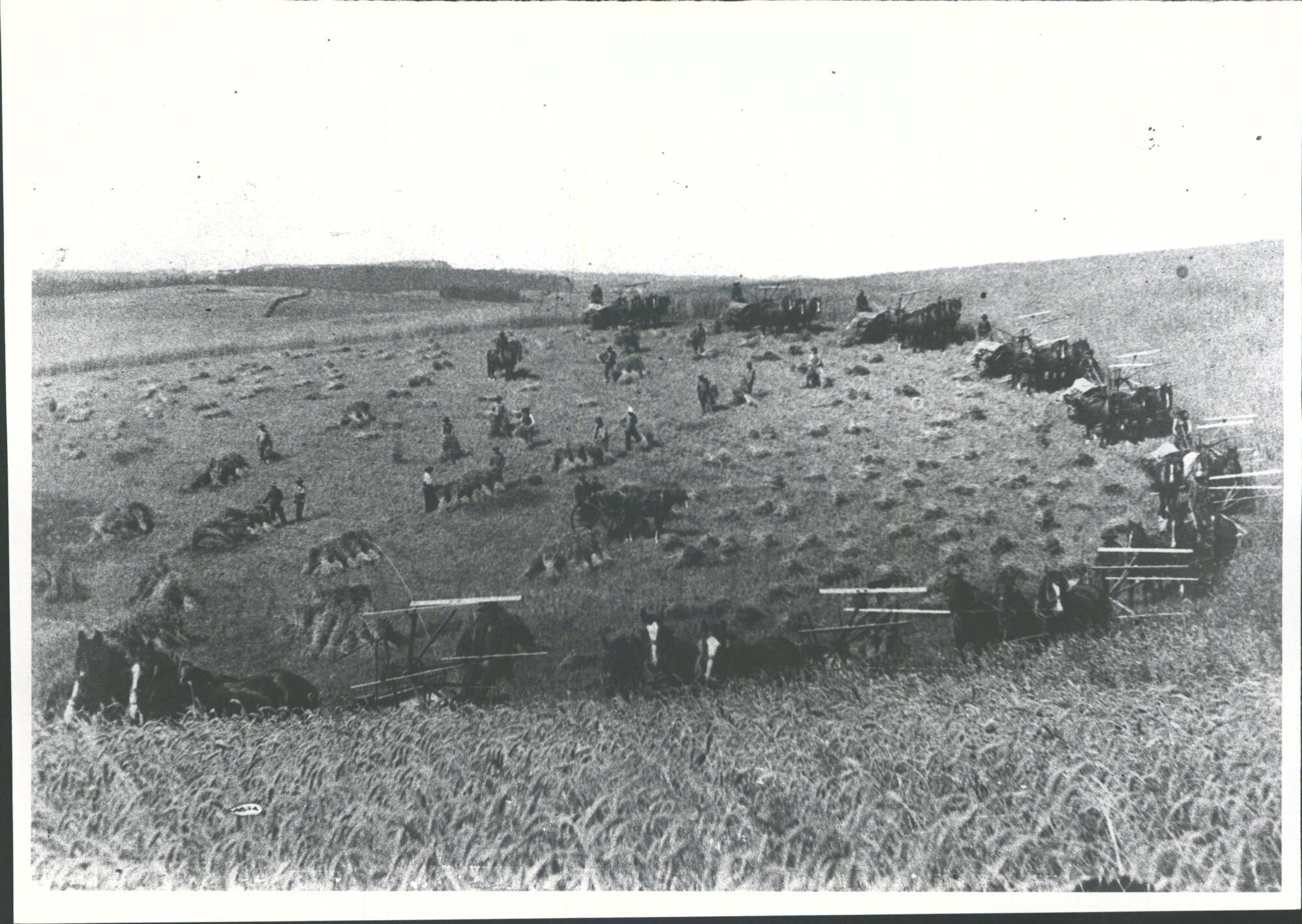 Malsey Harris Binders &amp; Reapers