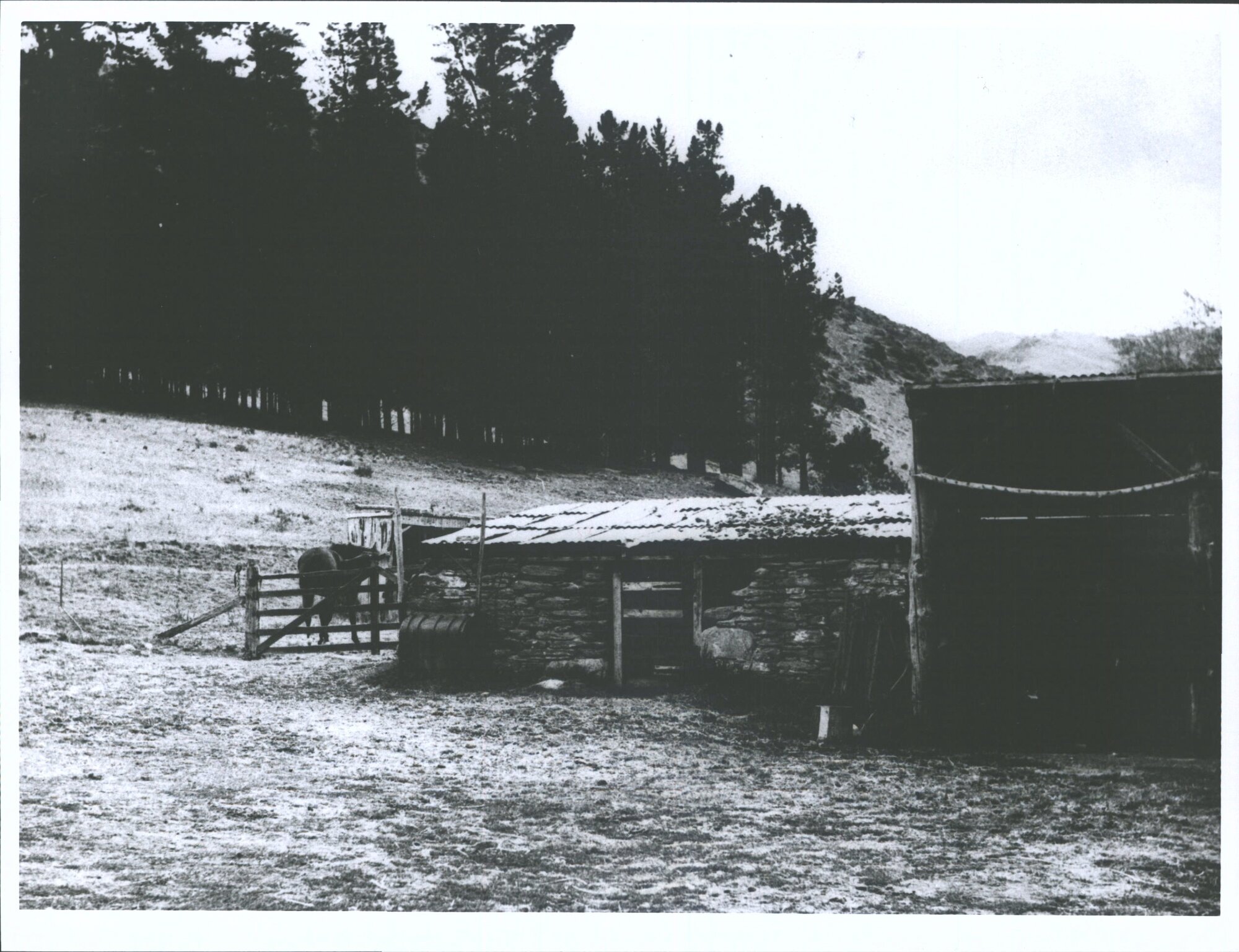 Murison's homestead