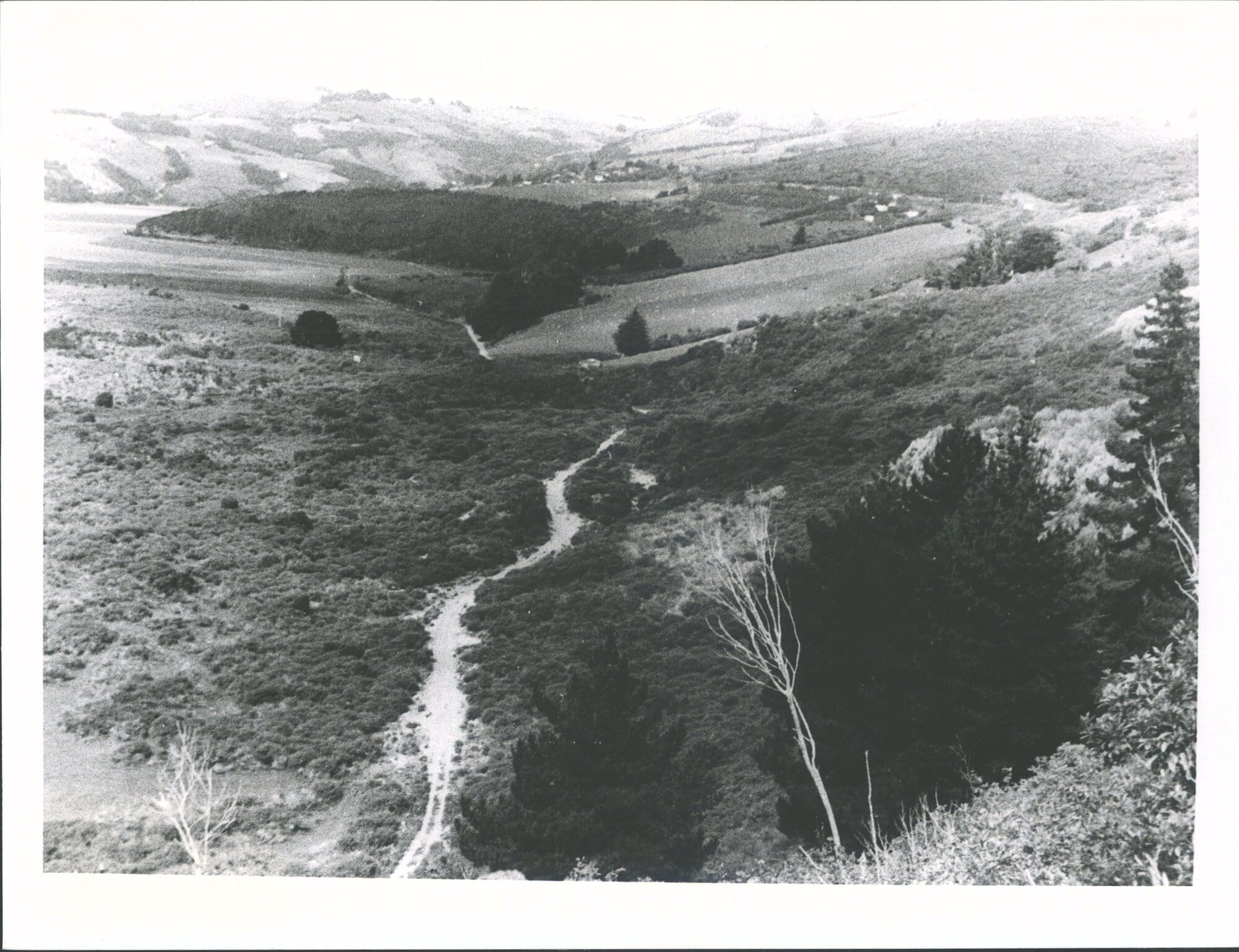 Looking towards Purakanui from the cliffs