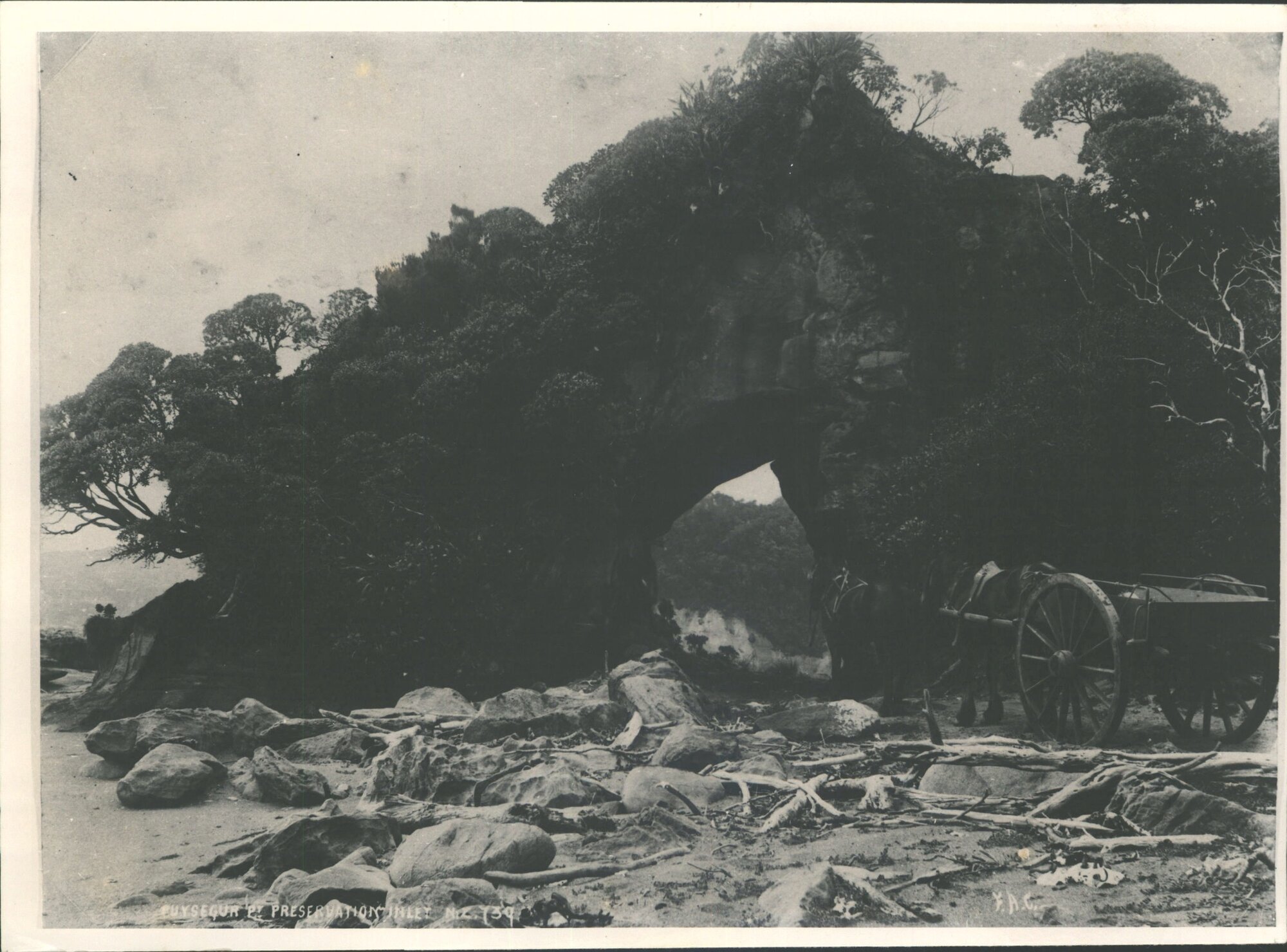 Puysegur Point, Preservation Inlet N.Z.