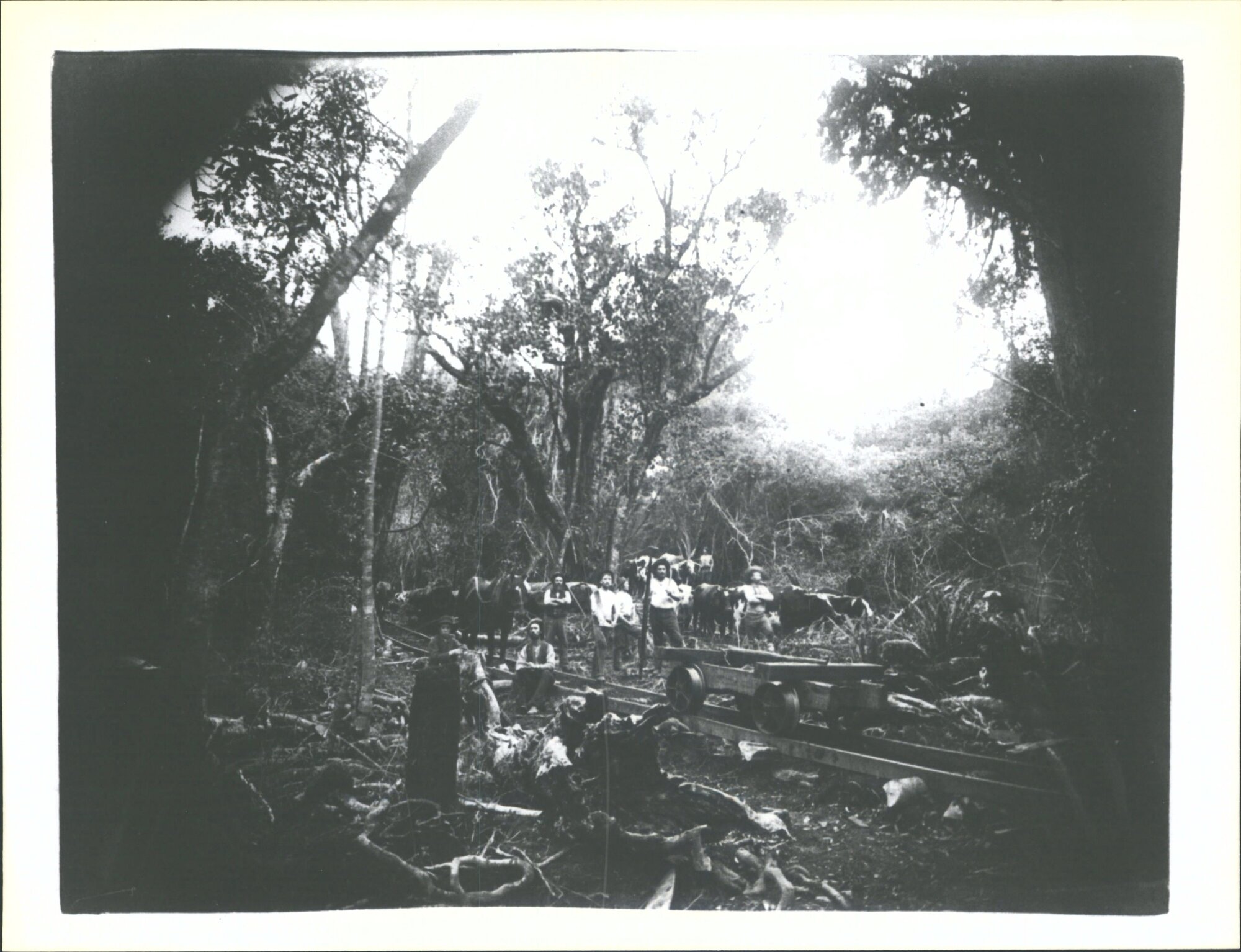 Bushmen of Oteramika Mills