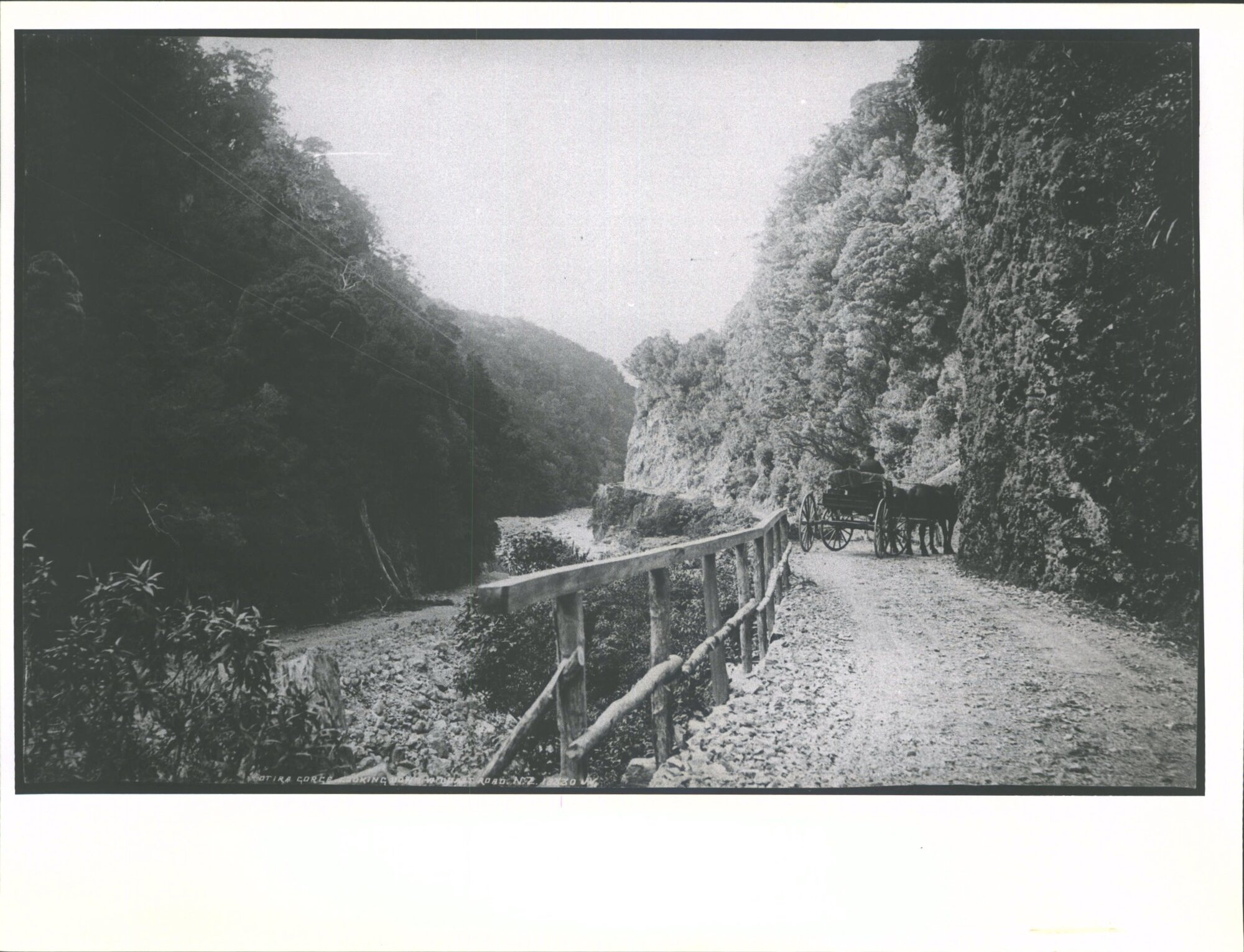 Looking down W. Coast Rd