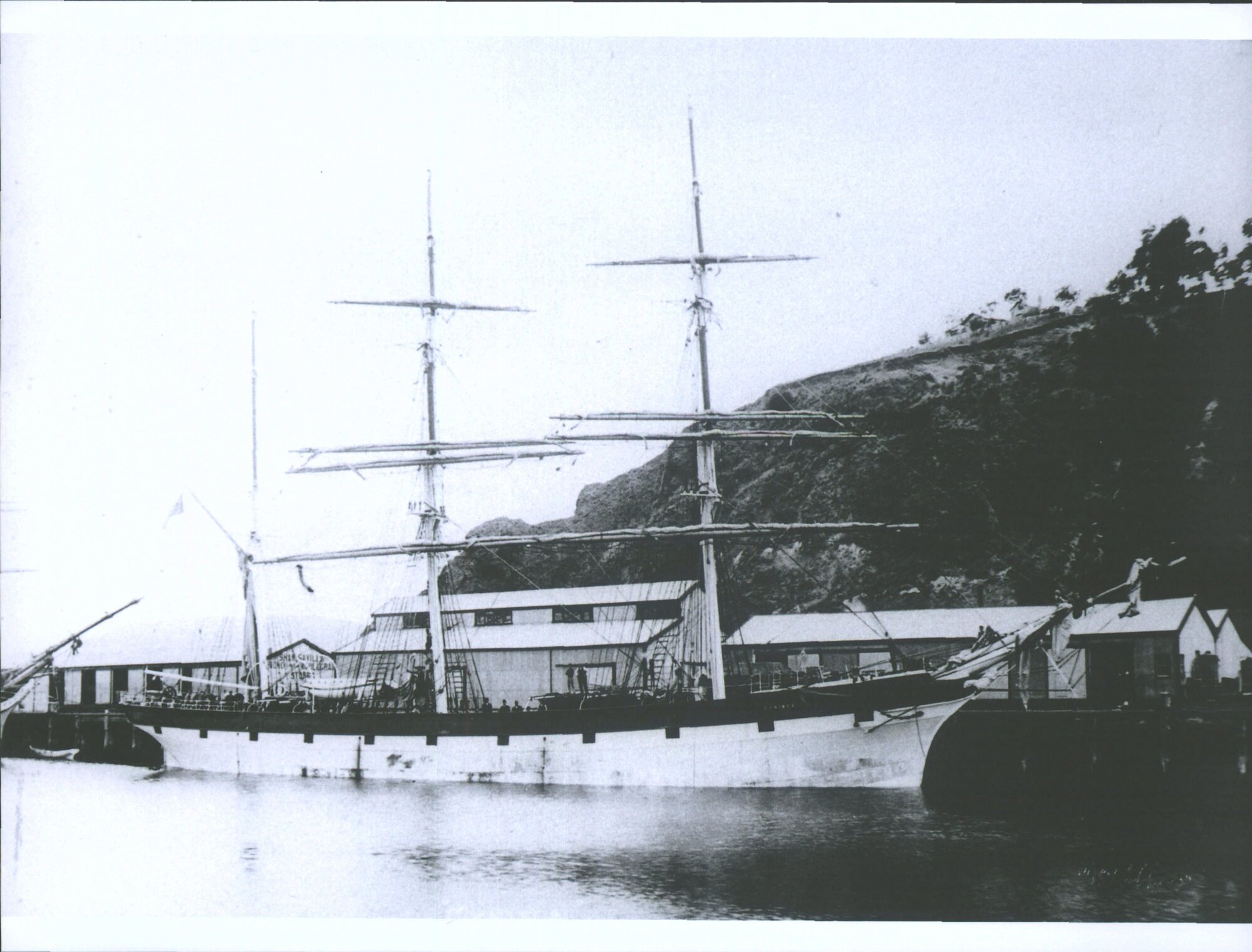 Cynisca