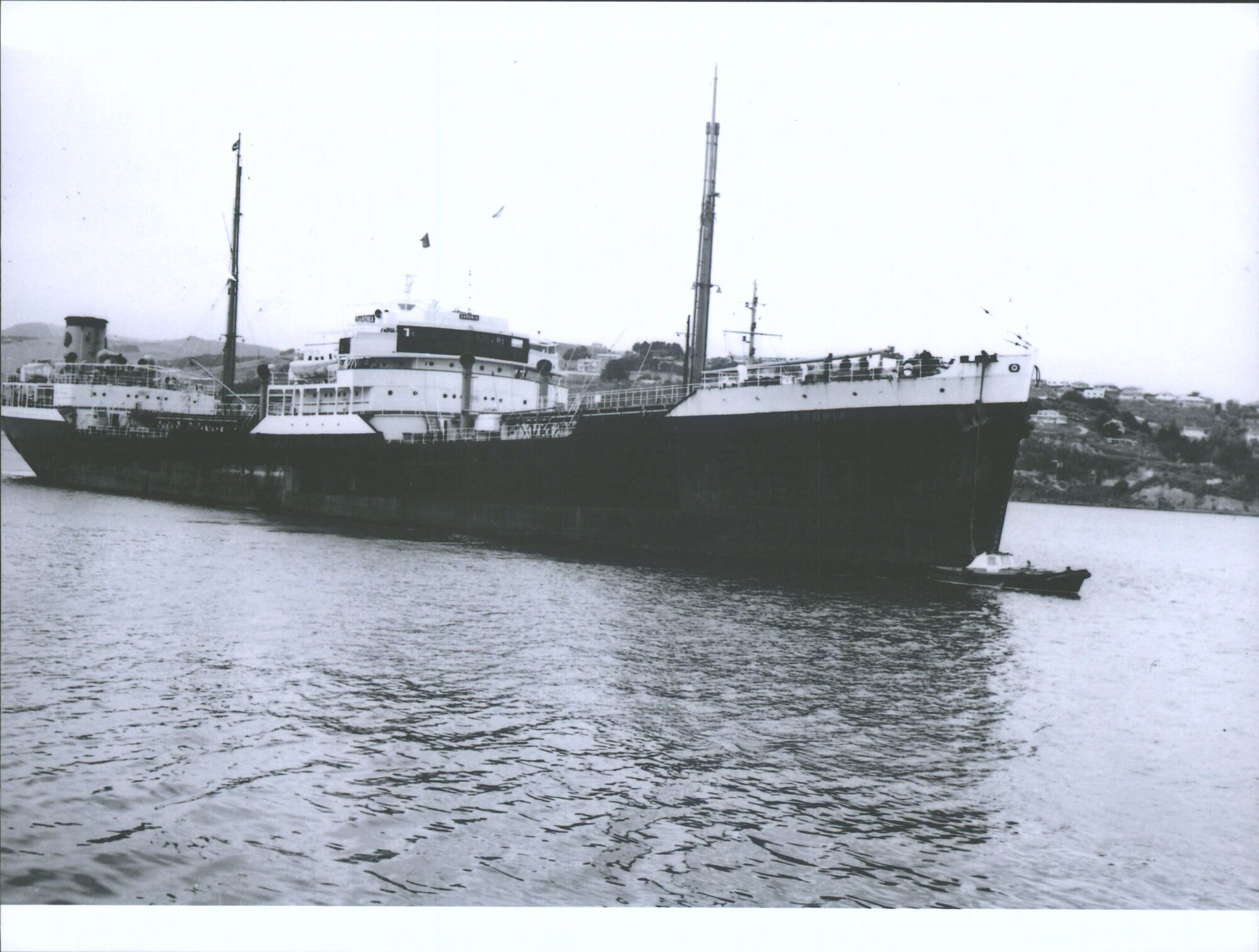 Daronia