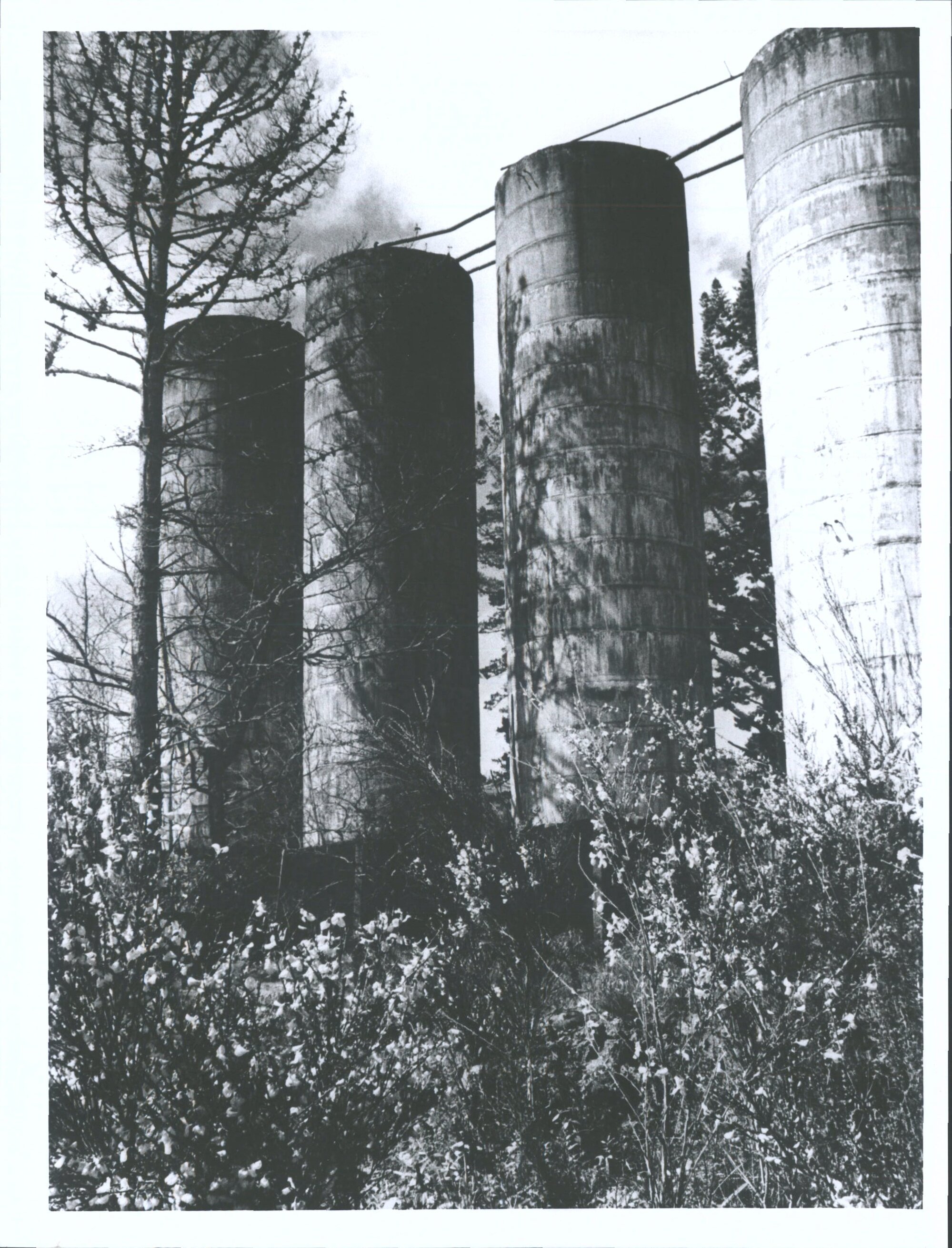 Martha Mine cyanide tanks