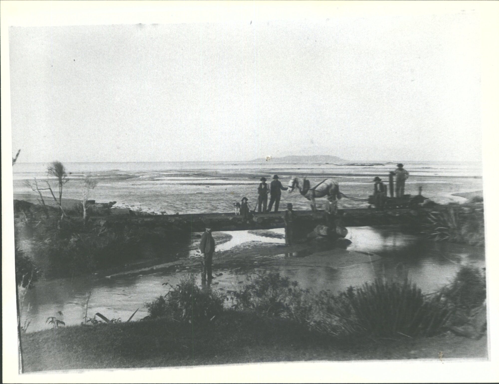 Round Hill Goldmining