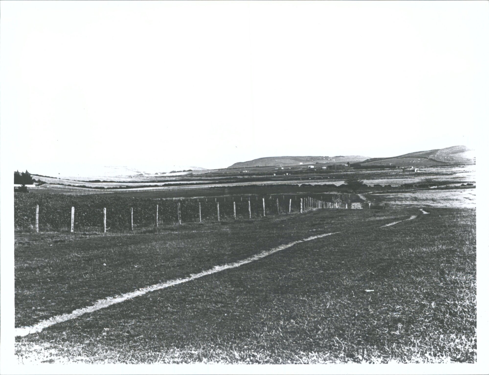 Looking towards Gore