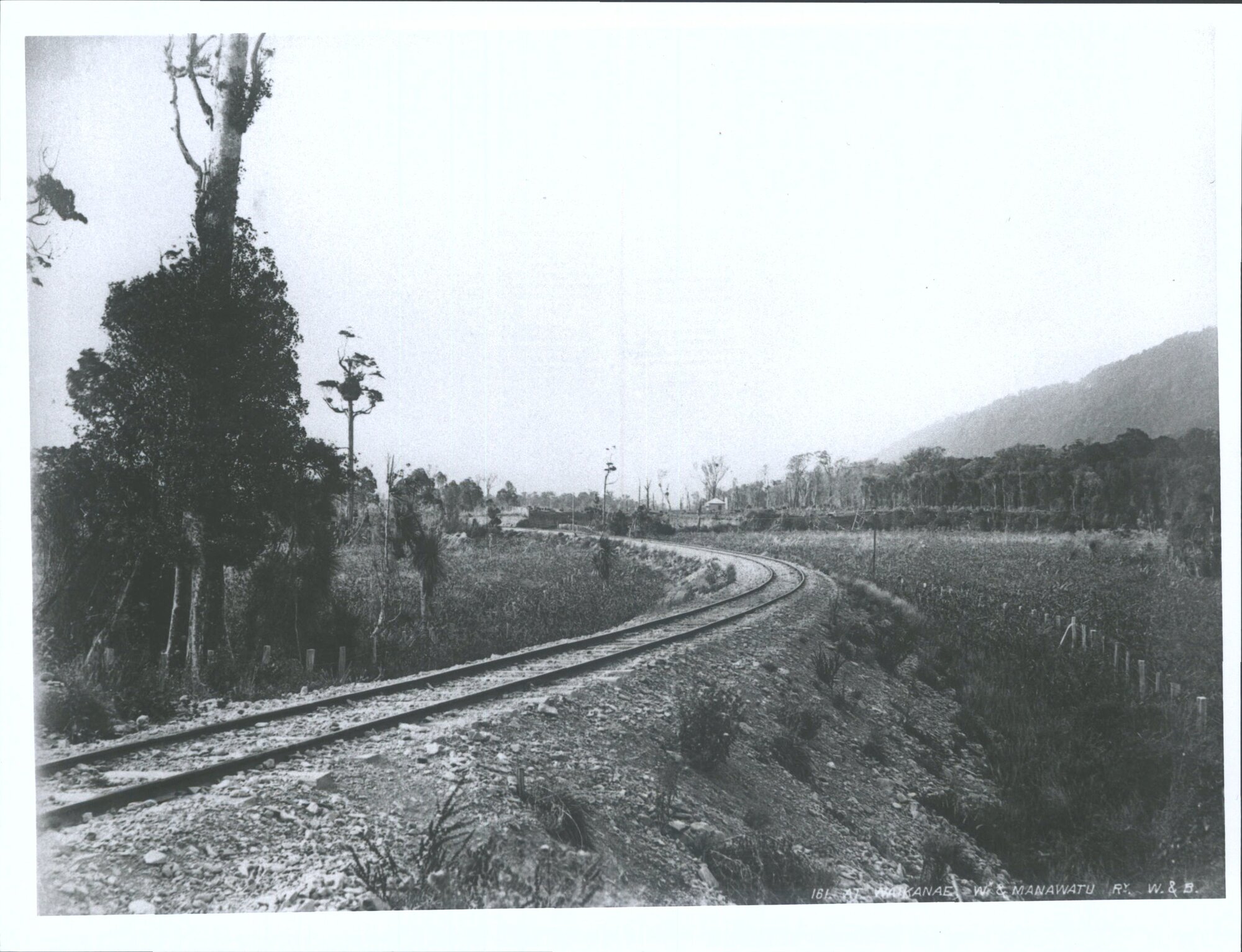 At Waikanae, Wellington &amp; Manawatu Railway