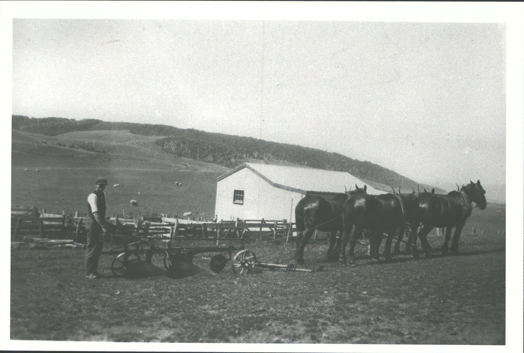 H.M. Short with horses &amp; plough