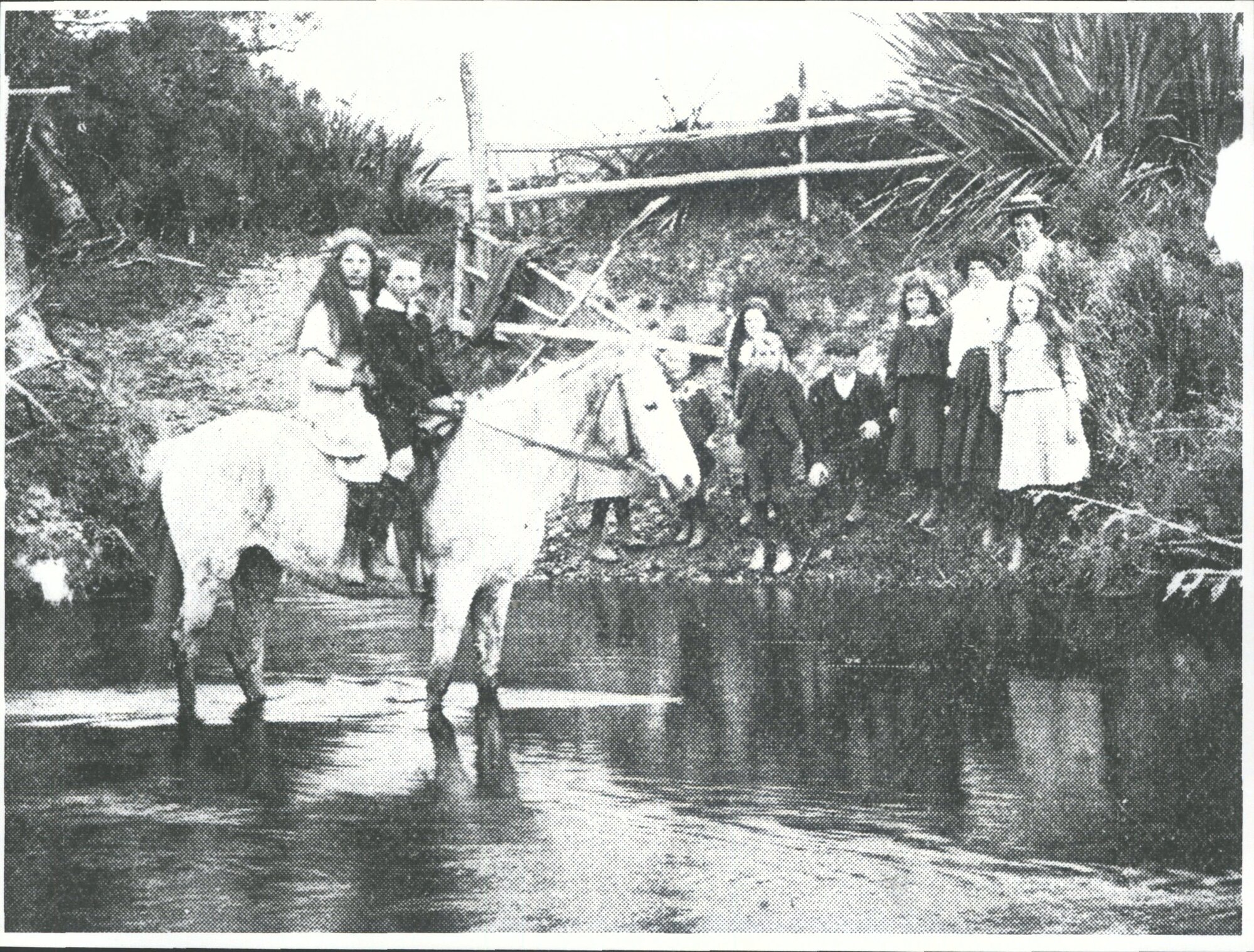 On their way to school: children fording the river, Waikawa Valley