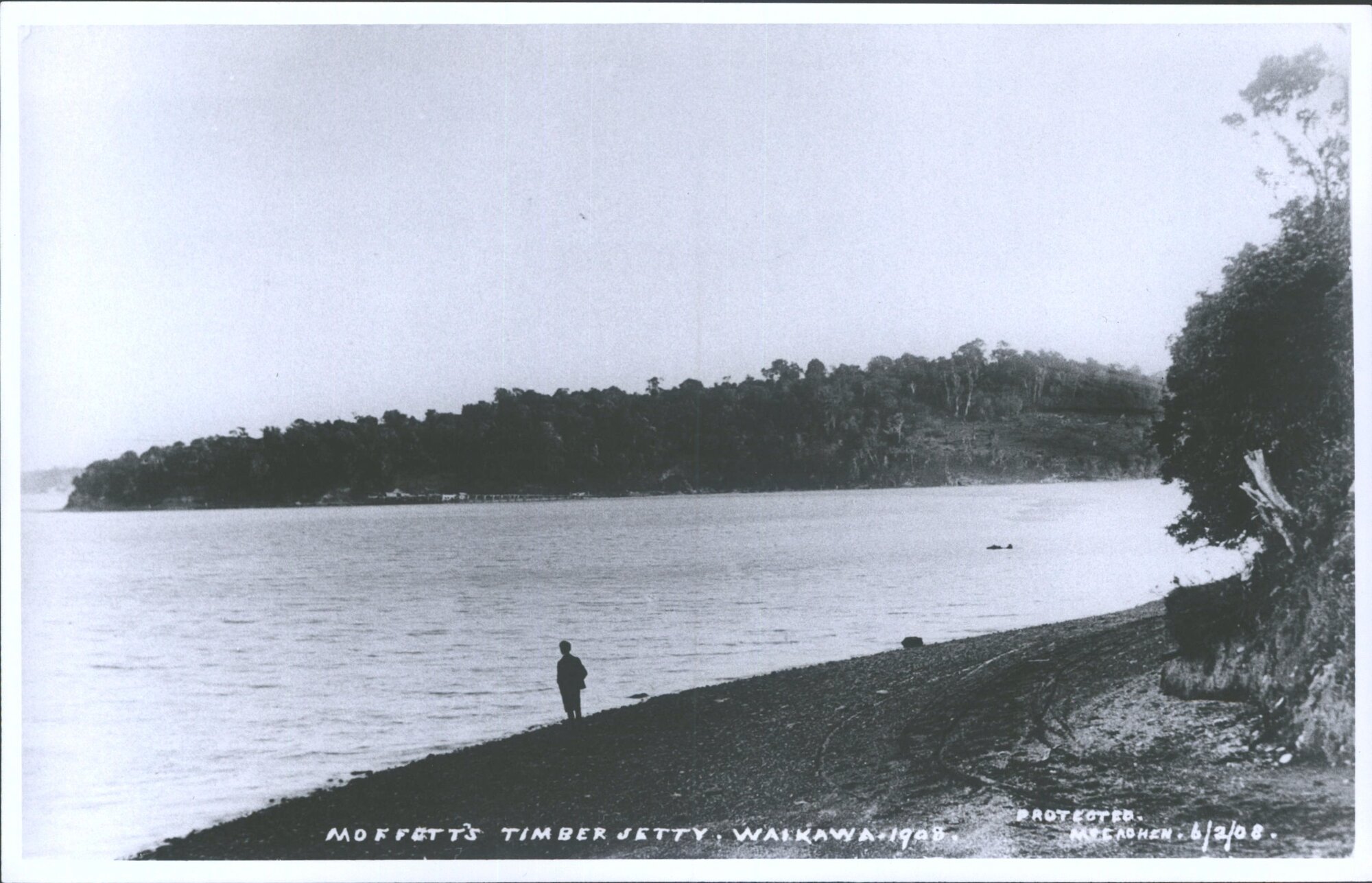 Moffatt's Timber Jetty, Waikawa