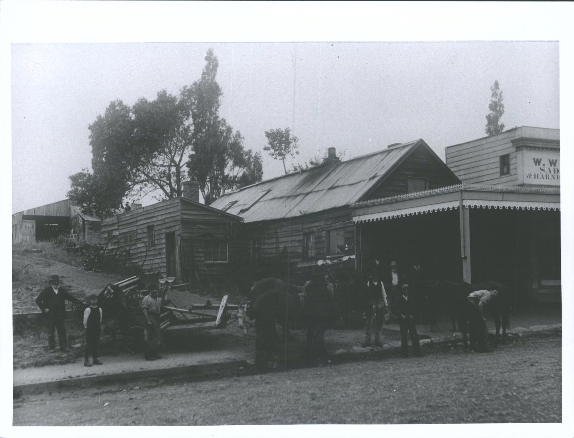 W. White, Saddler, Harness &amp; Collar Manufacturer