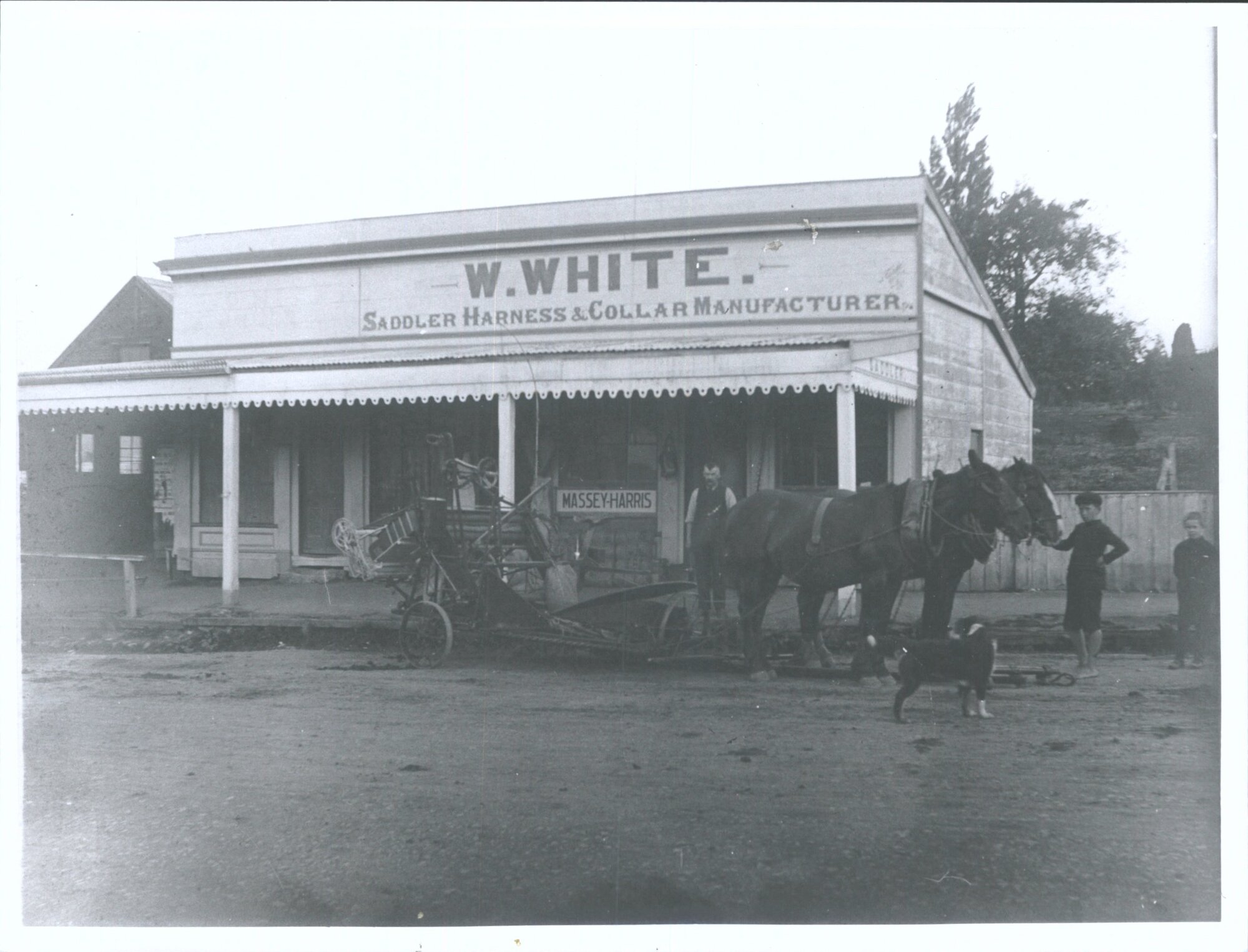 W. White, Saddler, Harness &amp; Collar Manufacturer