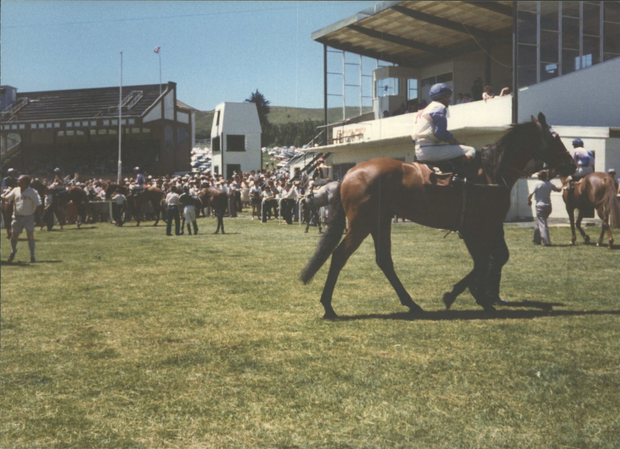 Waikouaiti Races