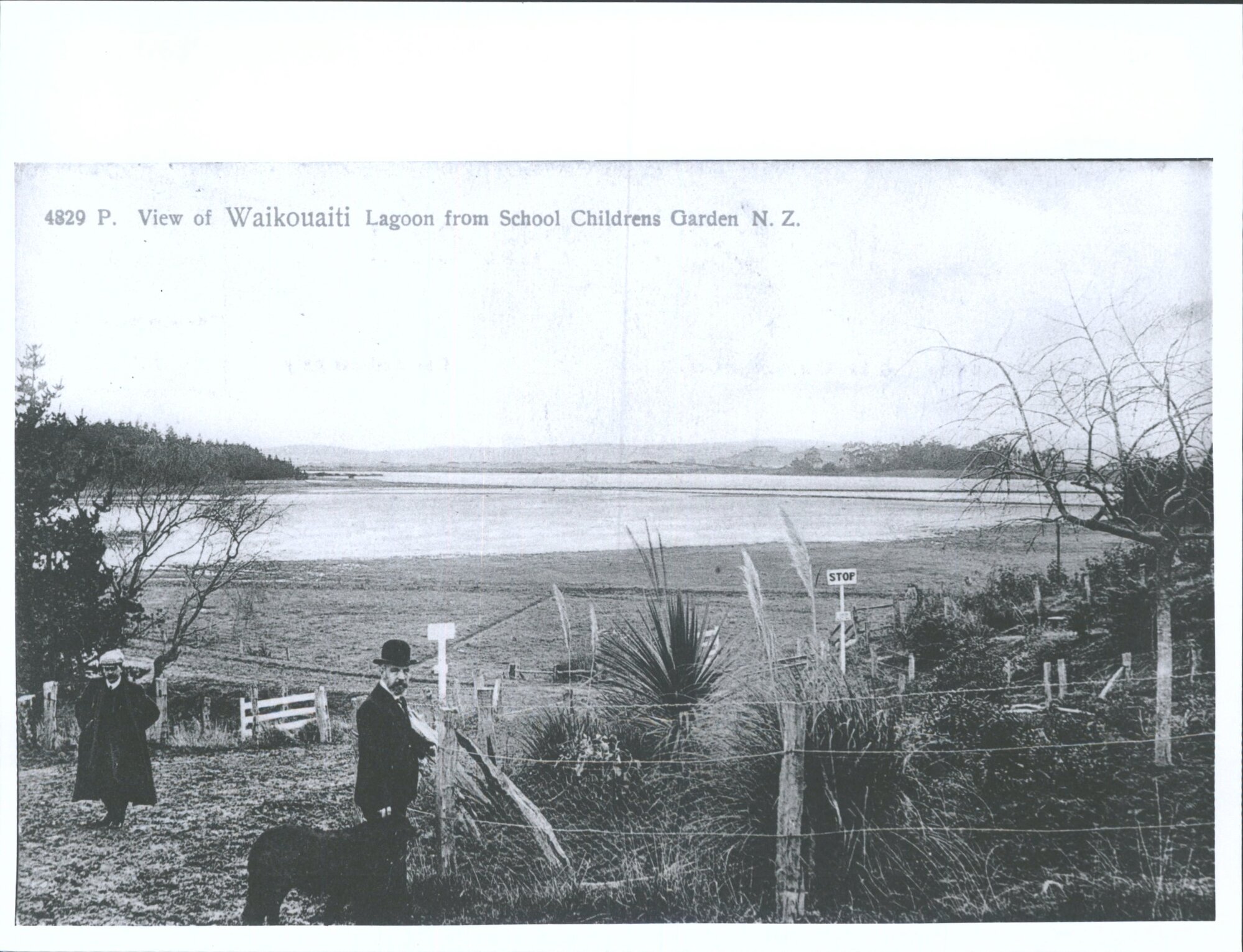View of Waikouaiti Lagoon from School Childrens Garden
