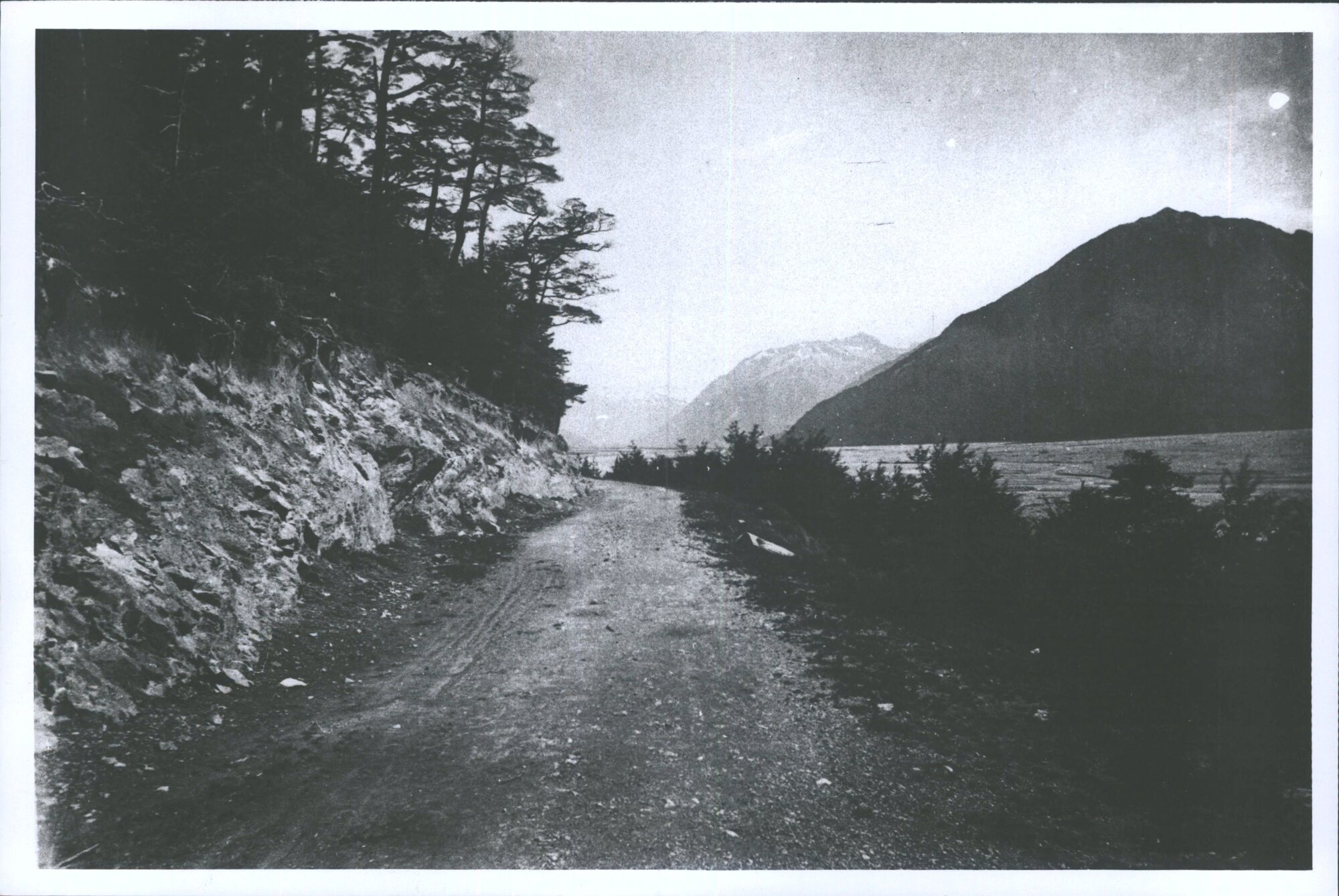 Waimakariri near Glacier House