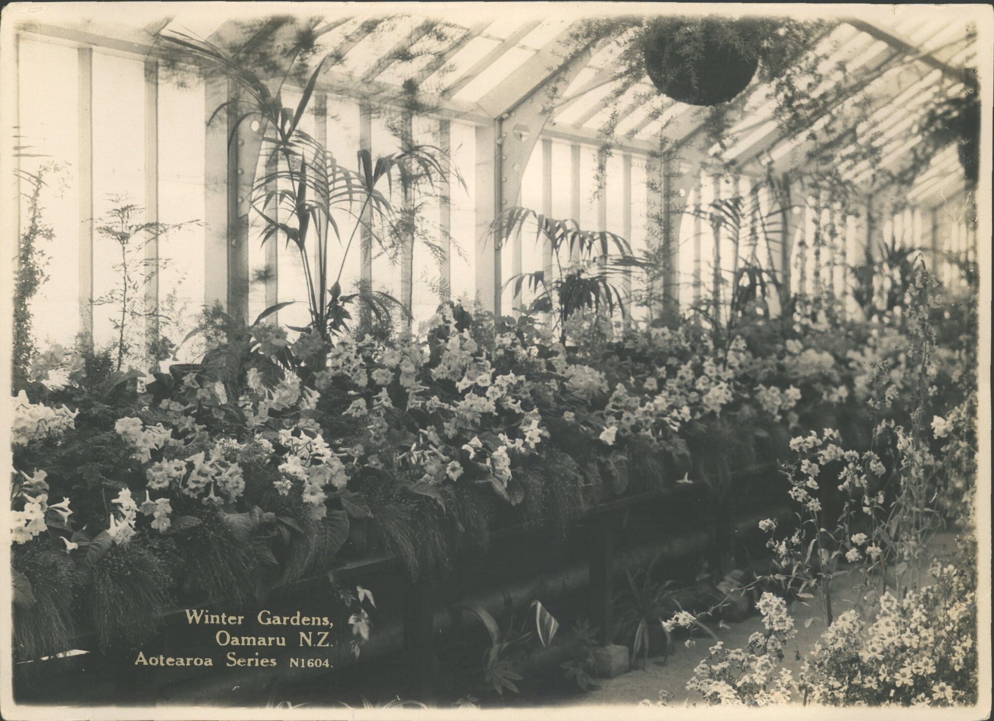 Winter Gardens Oamaru