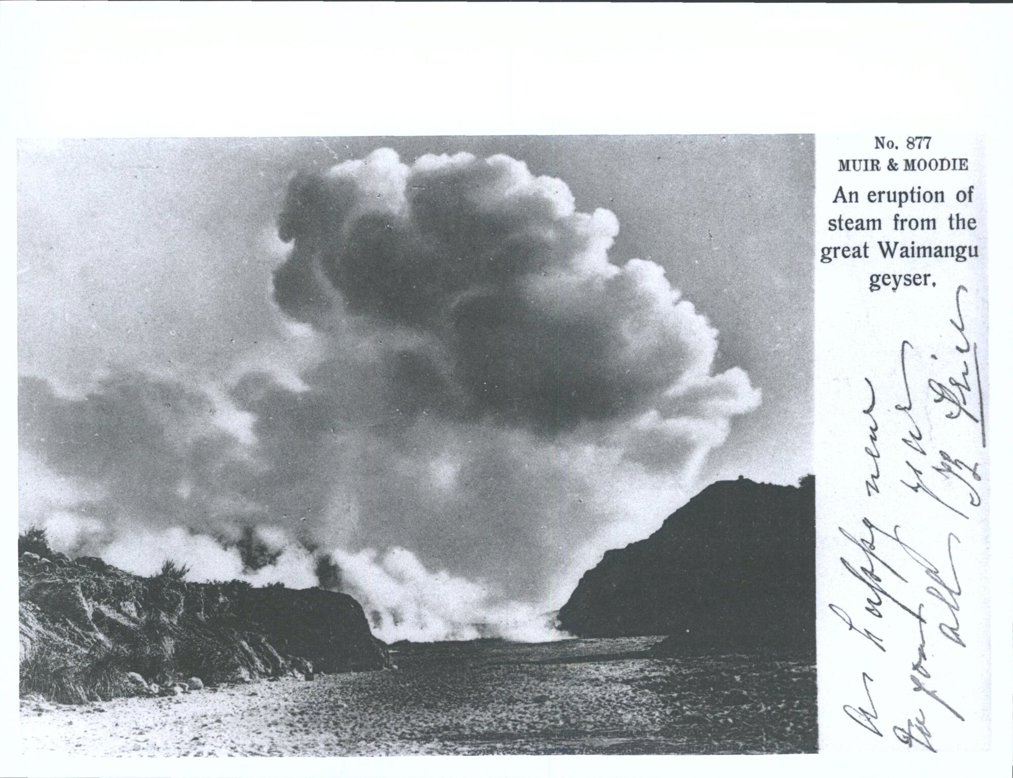 An eruption of steam from the great Waimangu geyser