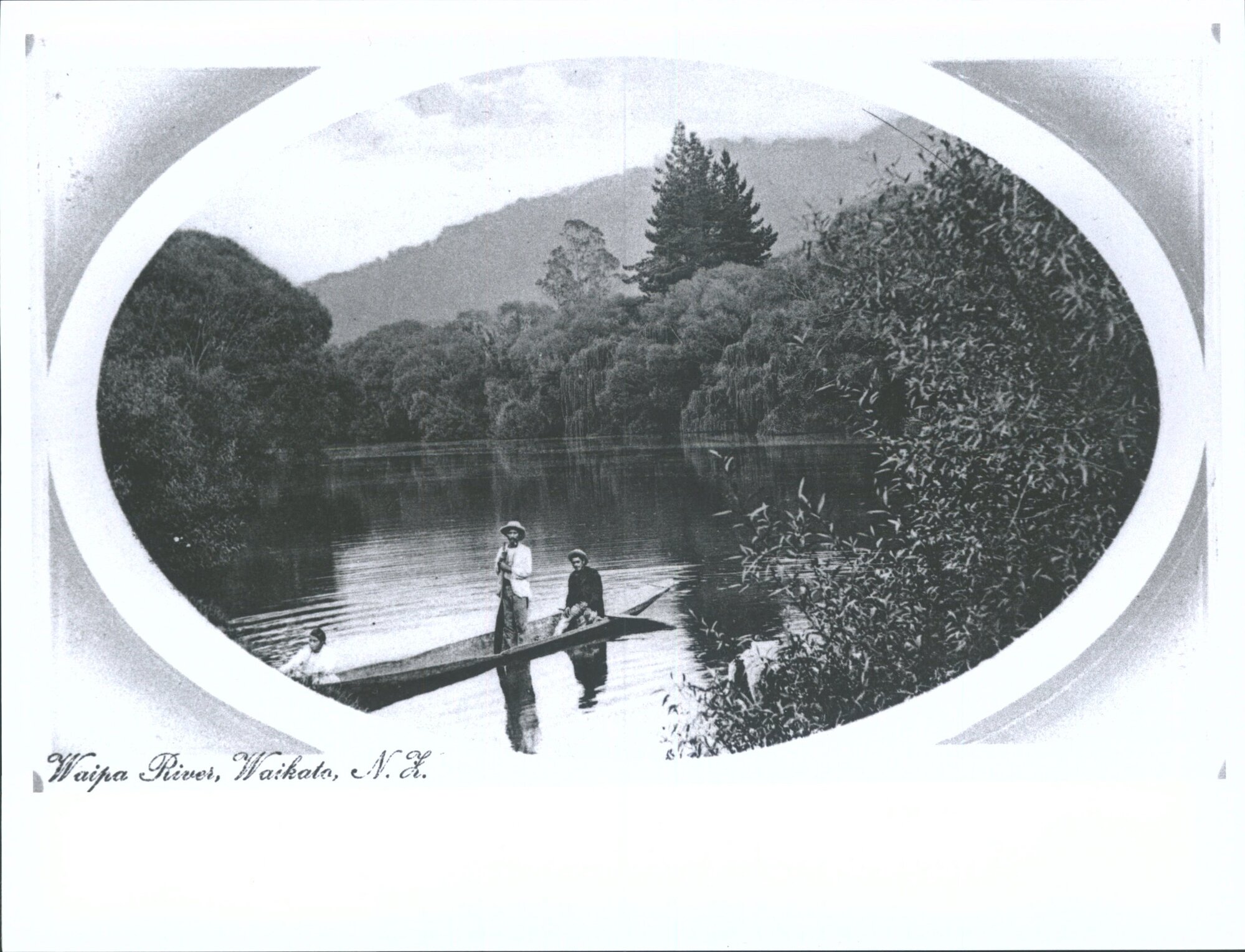 Waipa River, Waikato, N.Z.