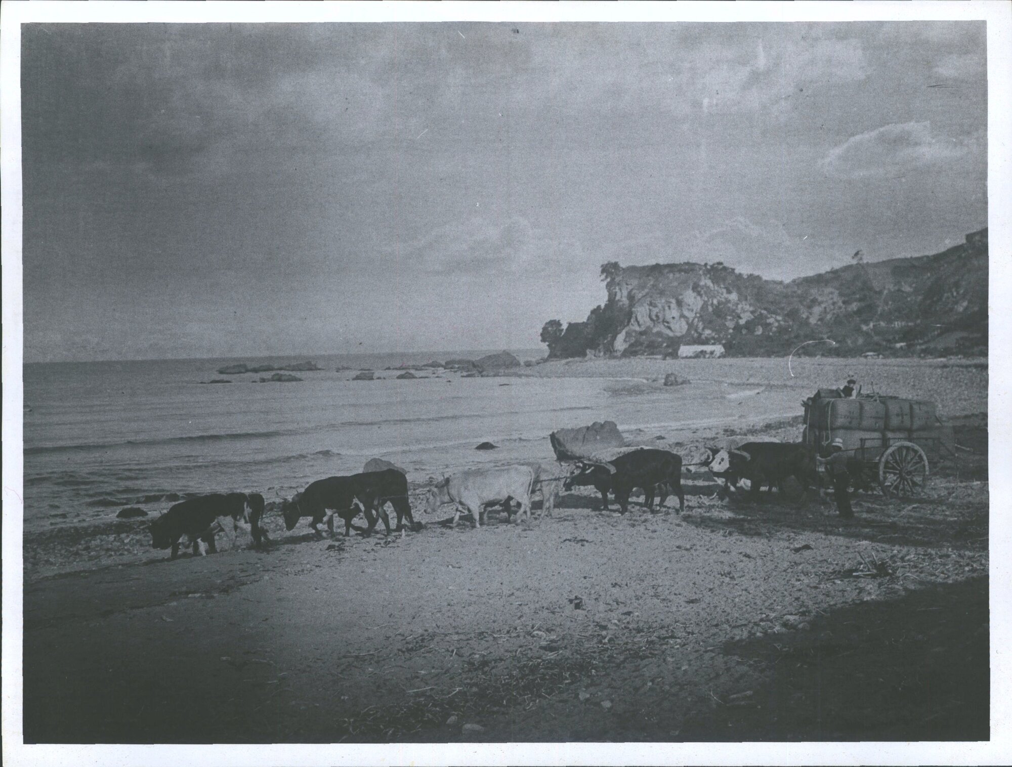 Pulling a cart on the beach