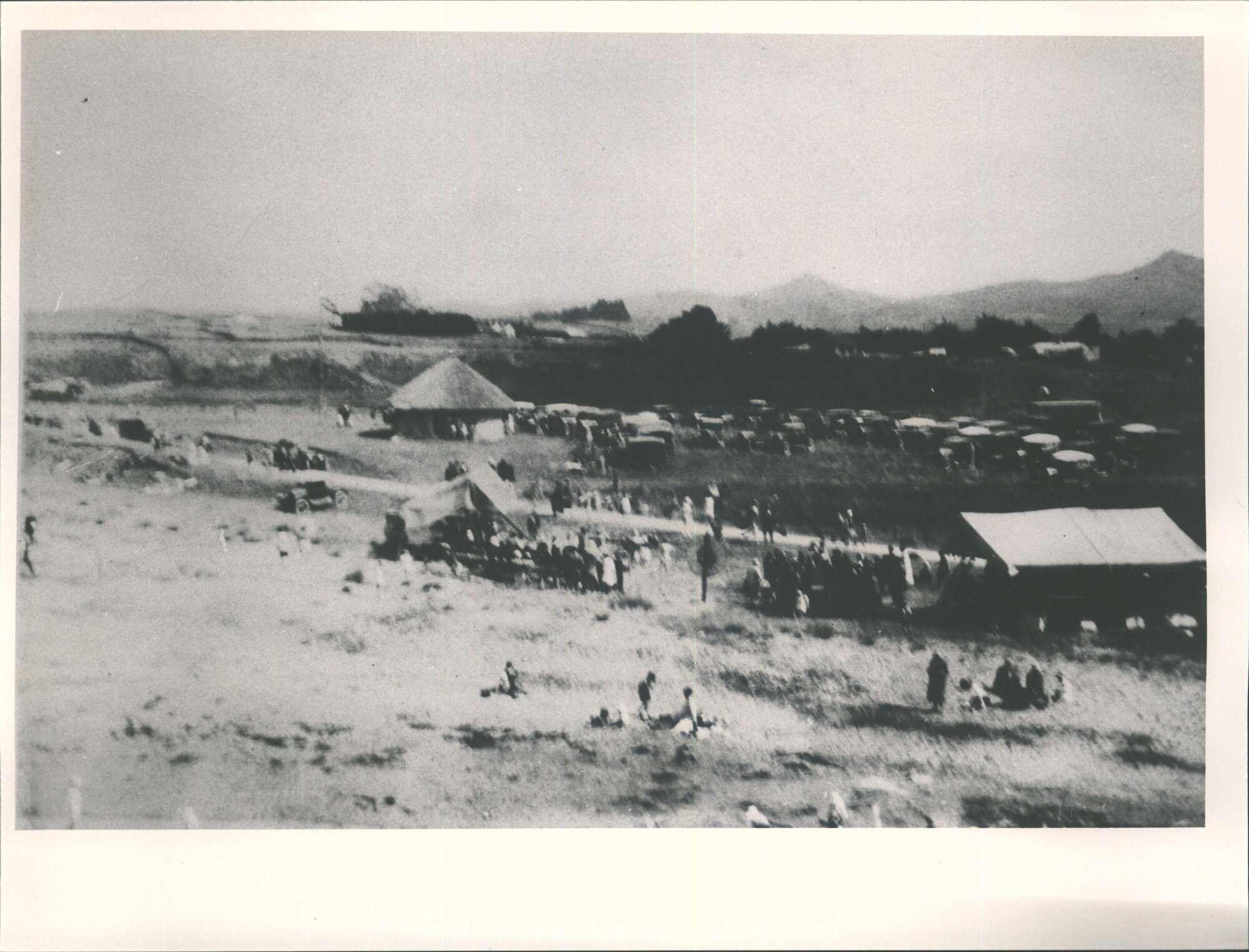 North &amp; South Schools picnic at Hampden