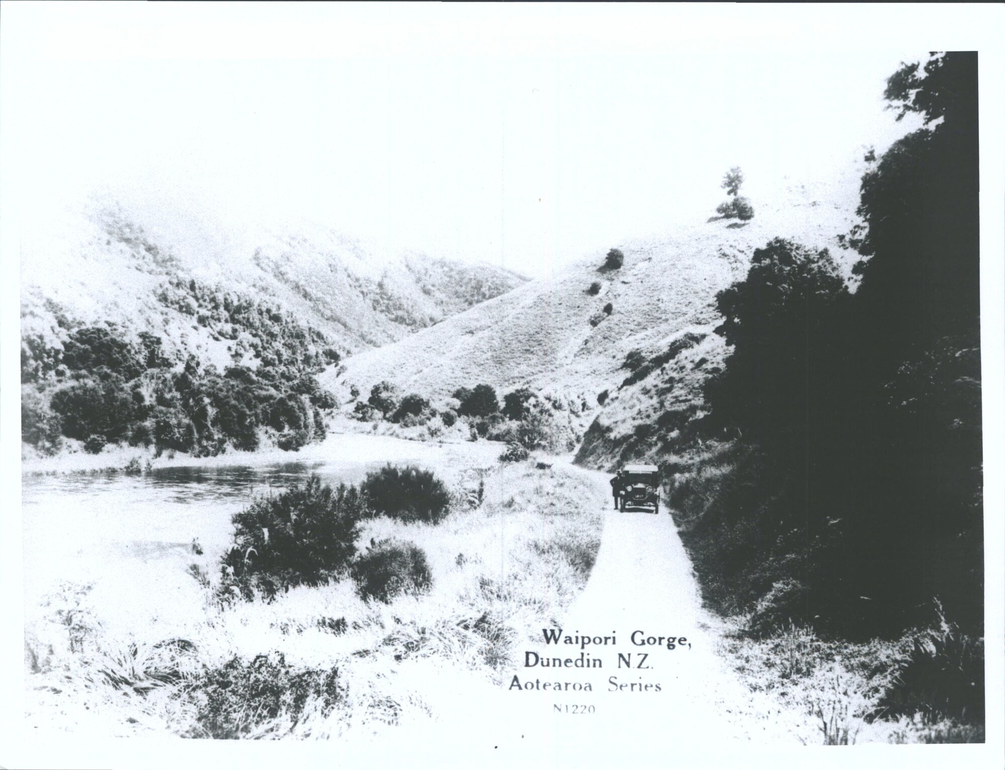 Waipori Gorge, Dunedin, N.Z.