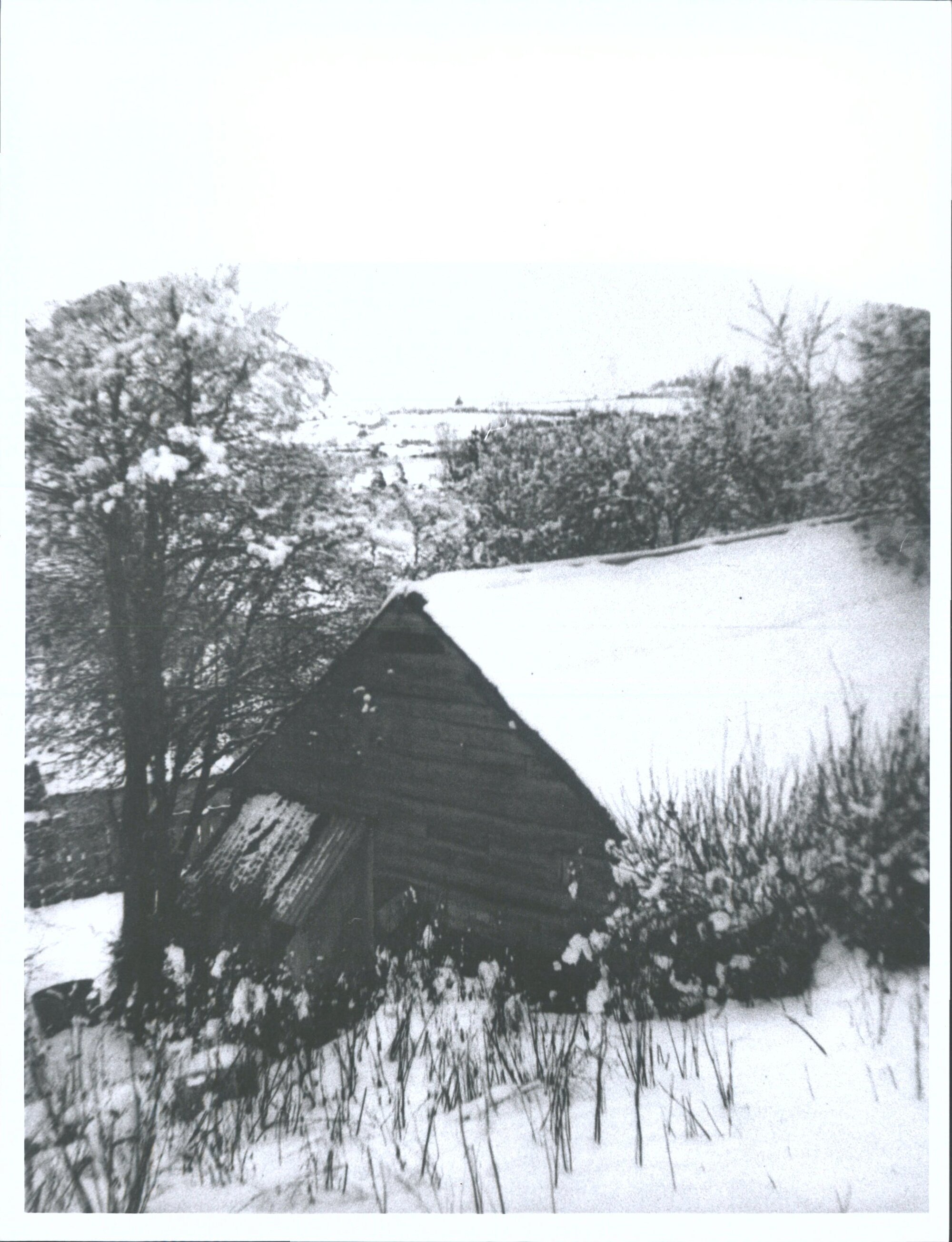 Waipori in winter