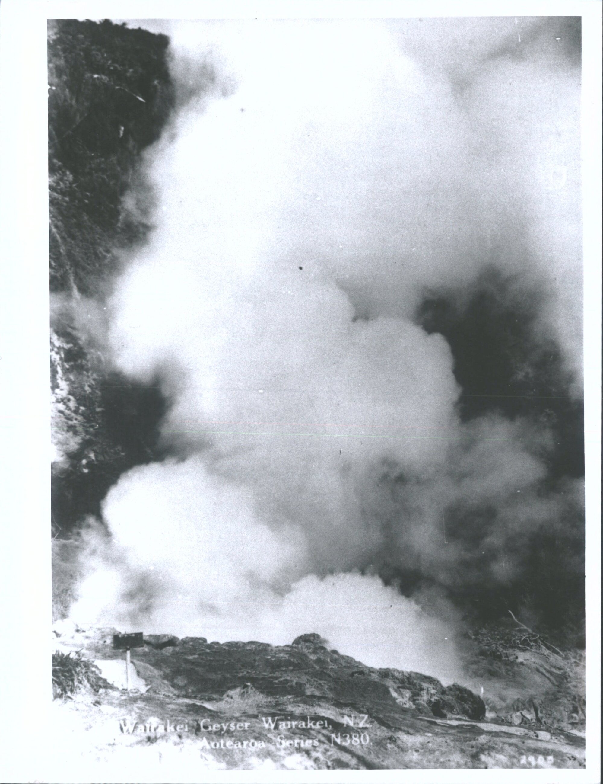 Wairakei Geyser, Wairakei, N.Z.