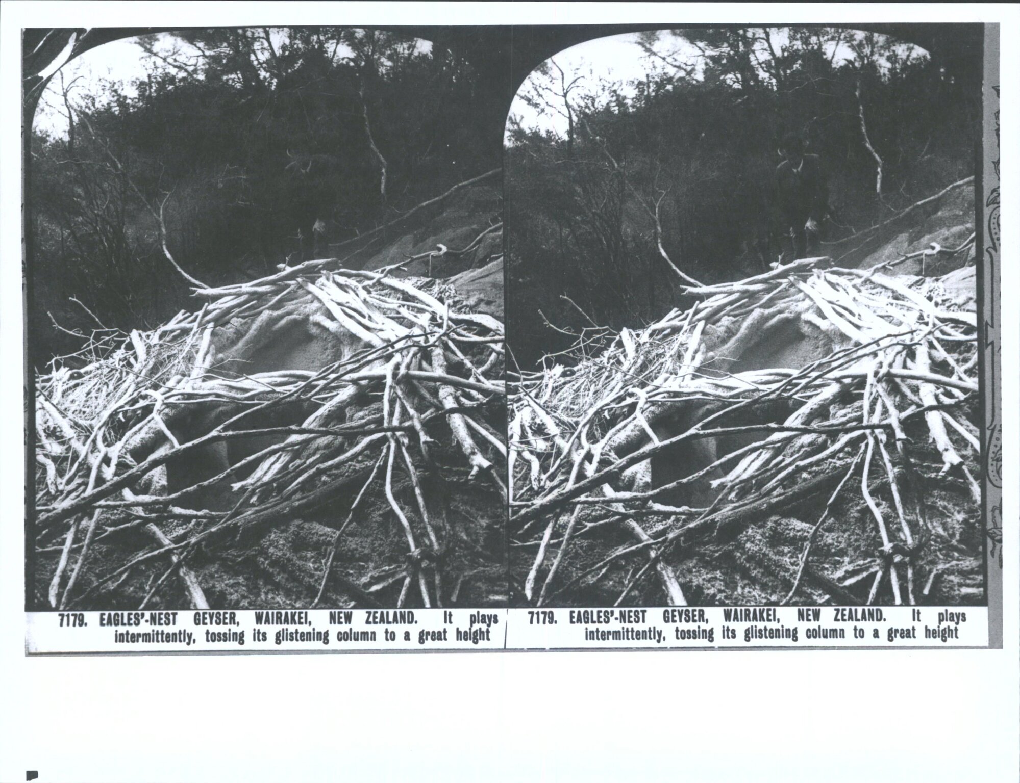 Eagle's Nest Geyser, Wairakei, New Zealand