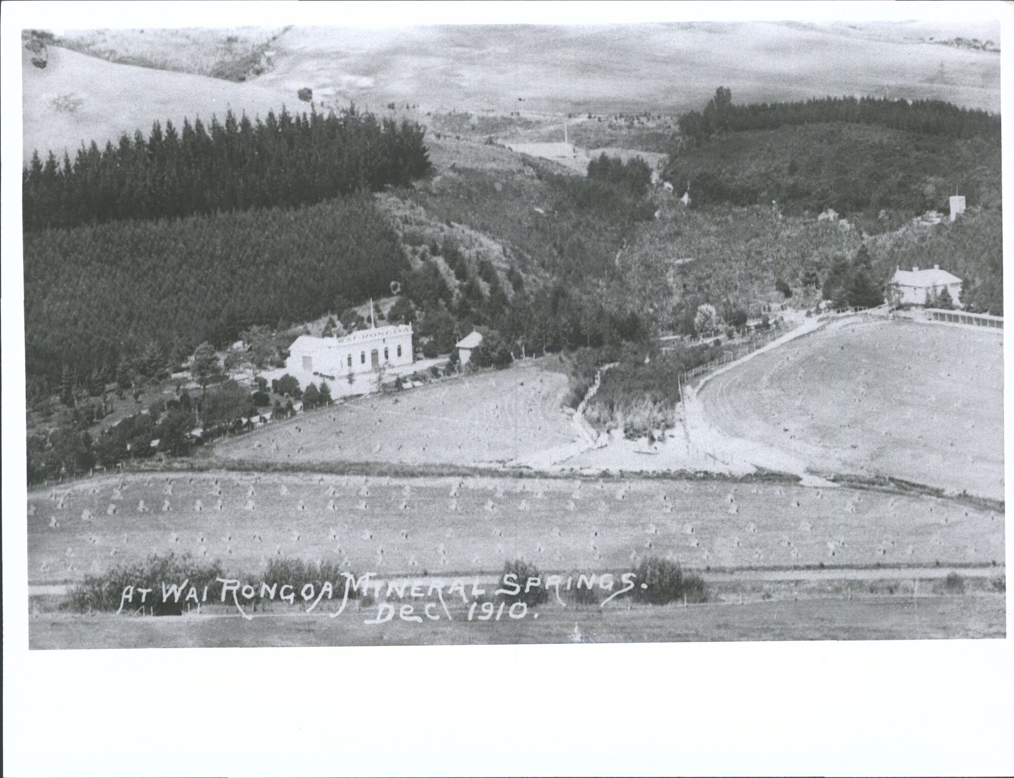 At Wairongoa Mineral Springs