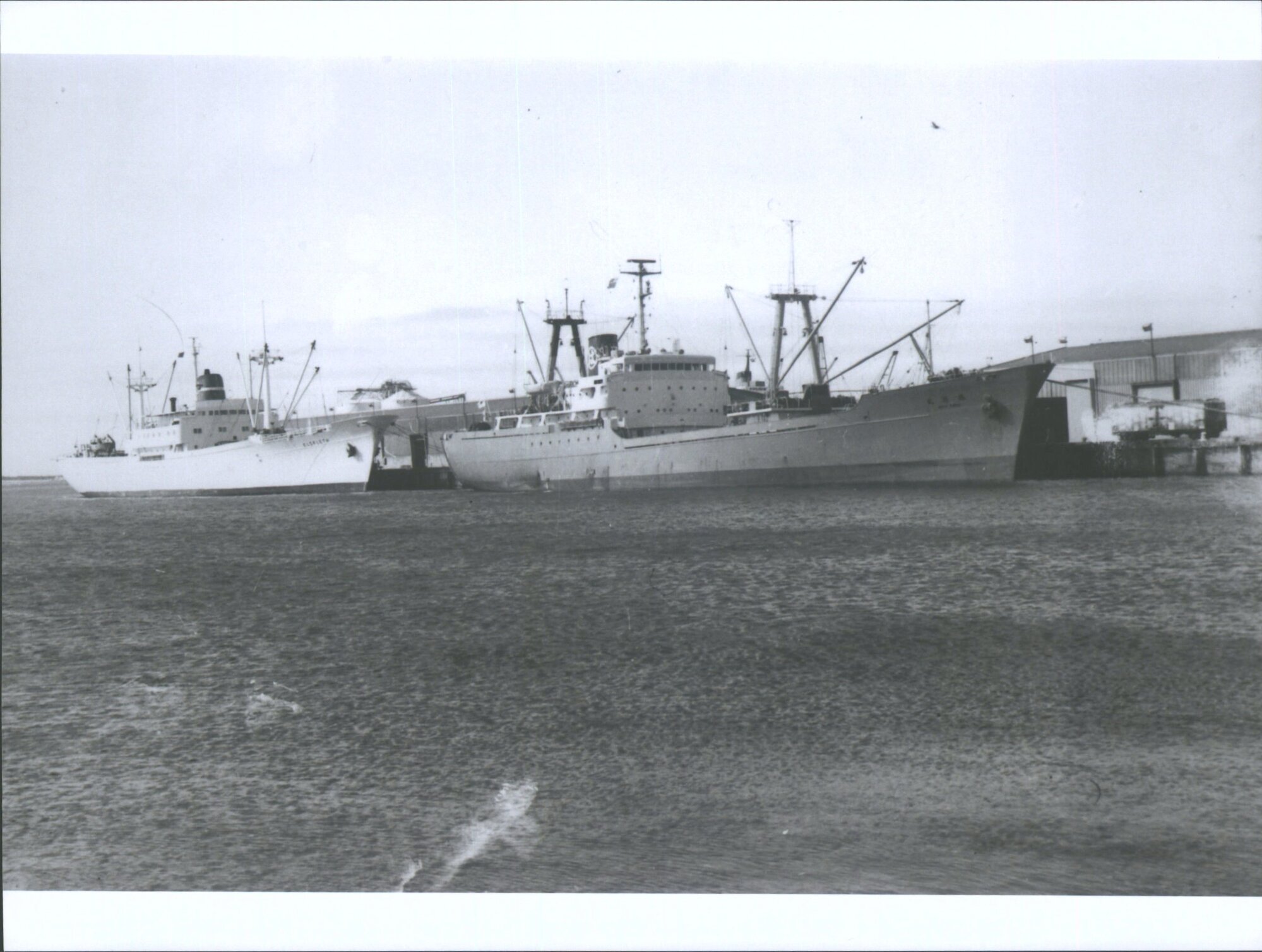 JUYO MARU (  ELSFLETH)