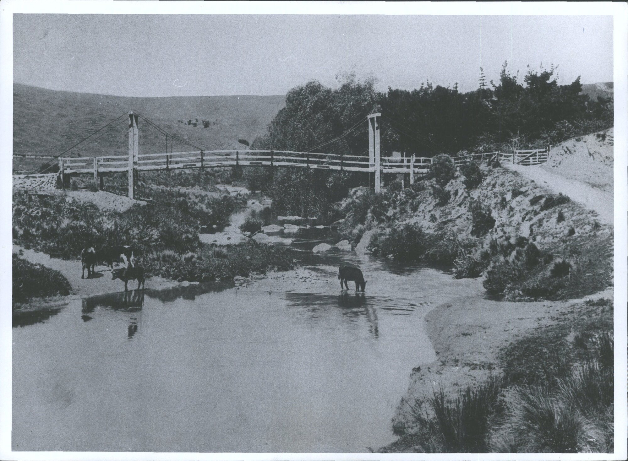 An Otago Rural Scene: ford and footbridge, Waitahuna River
