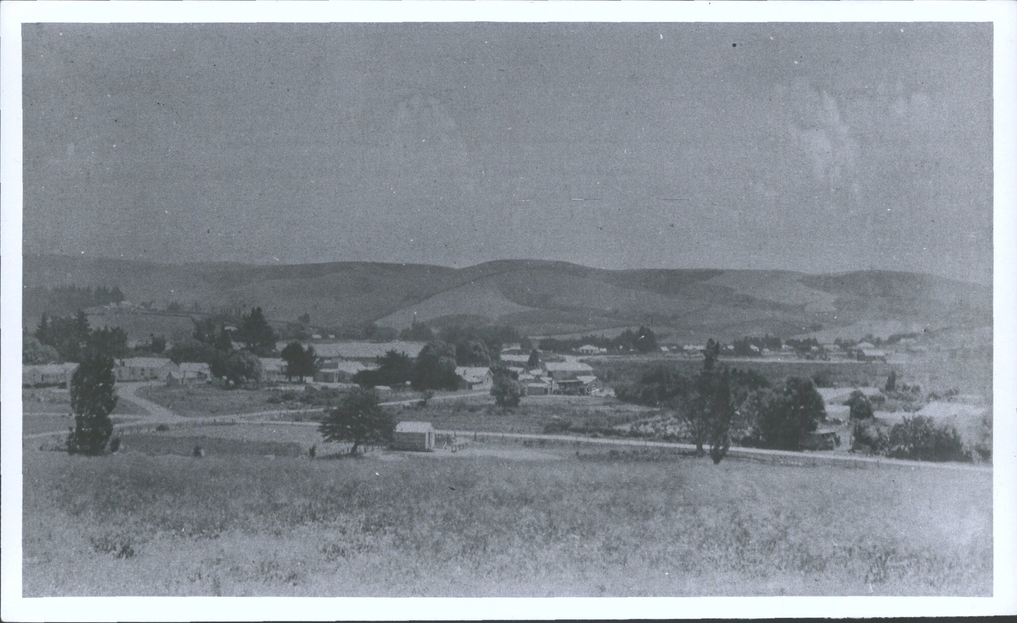 Waitahuna | Hocken Digital Collections