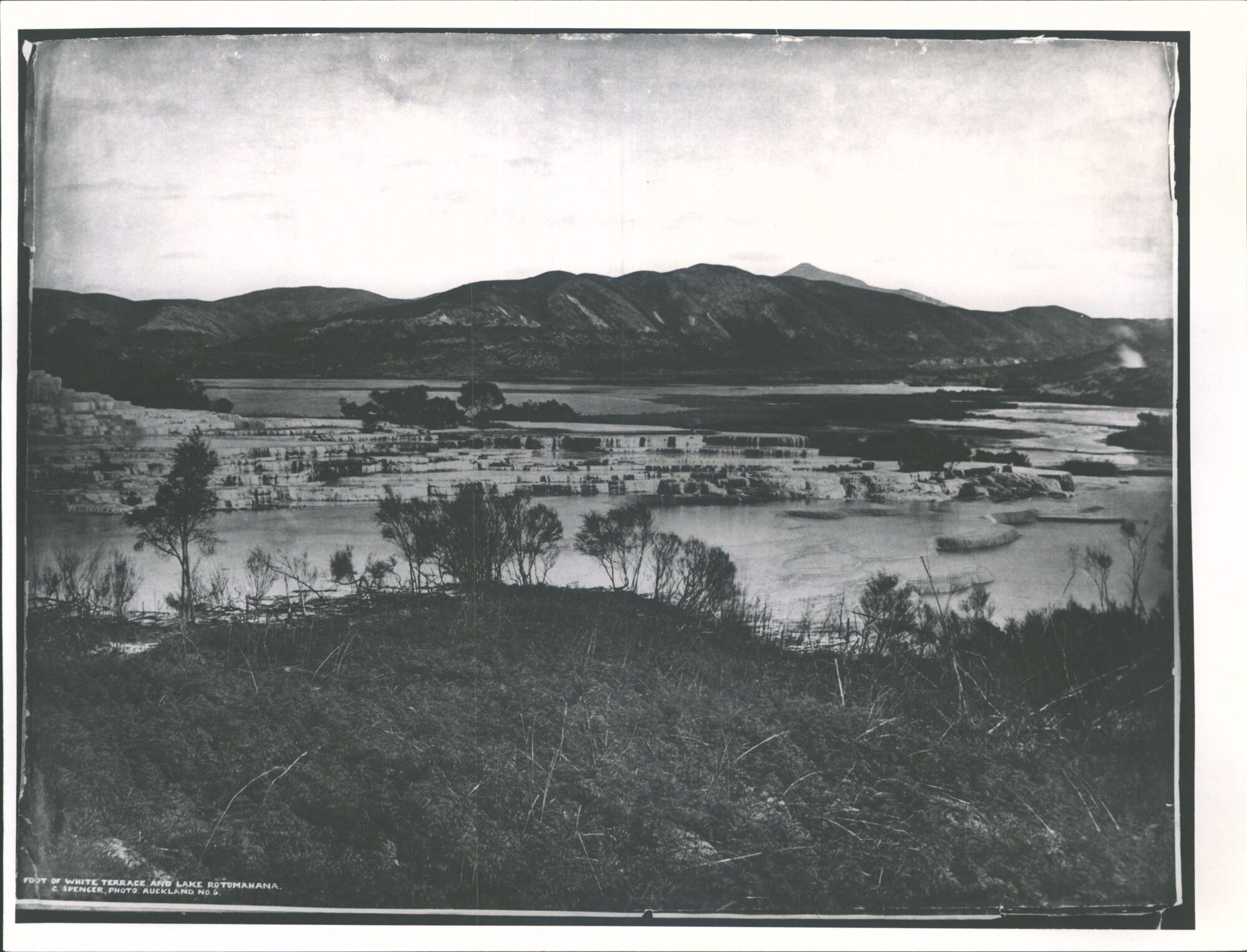 Pink &amp; White Terraces