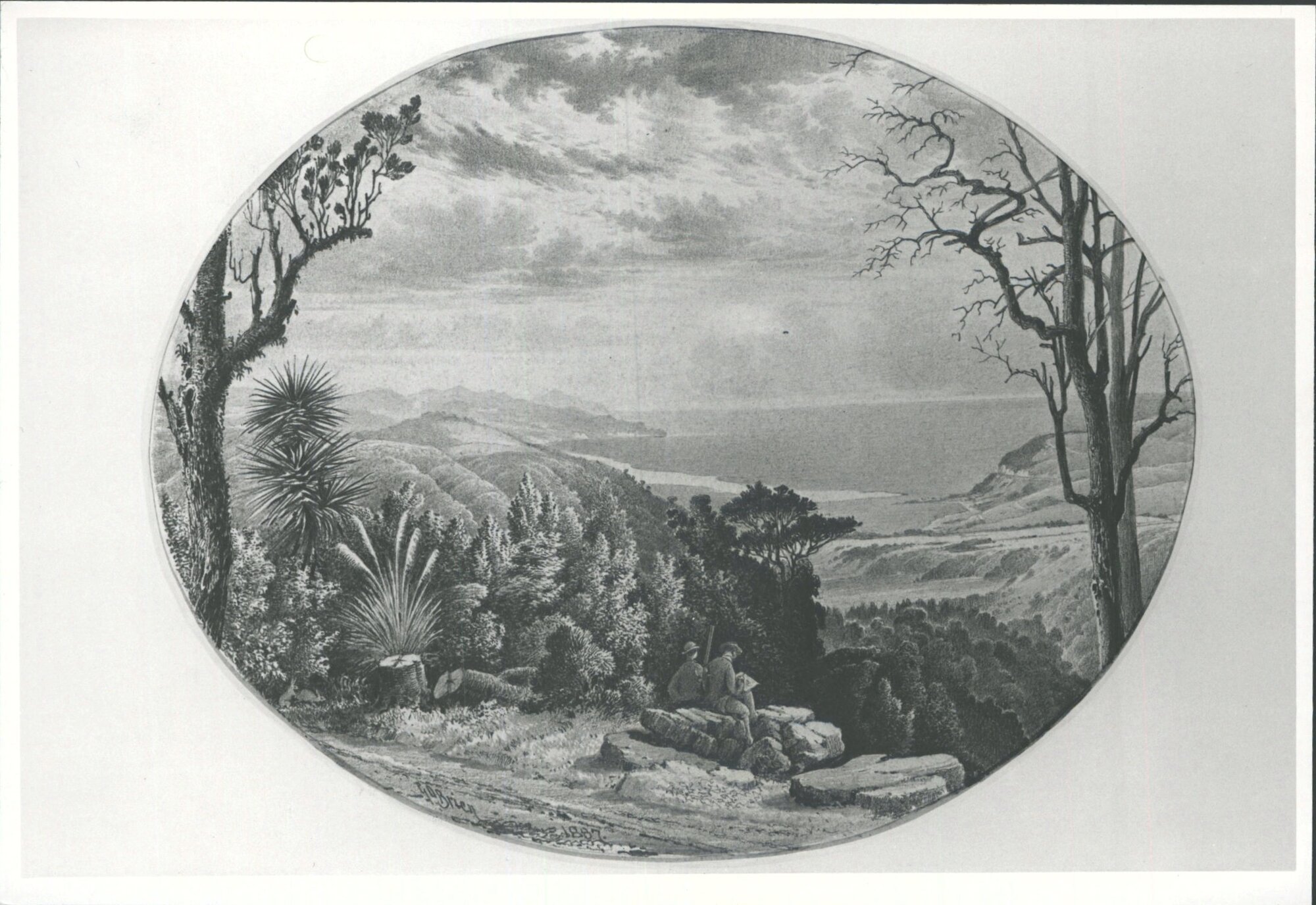 Waitati Estuary from the Leith Saddle