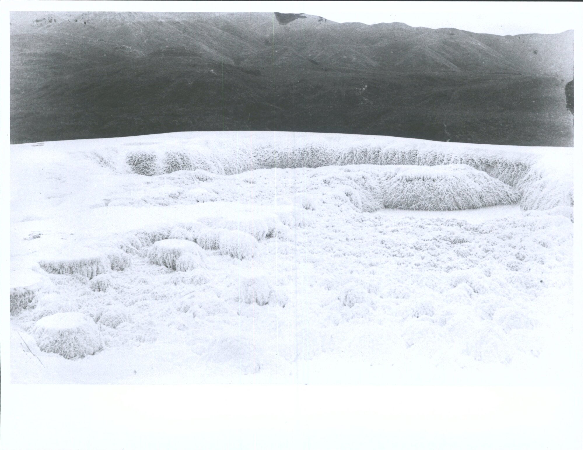 Coral like bottom of upper basins on the white terrace of Rotomahana
