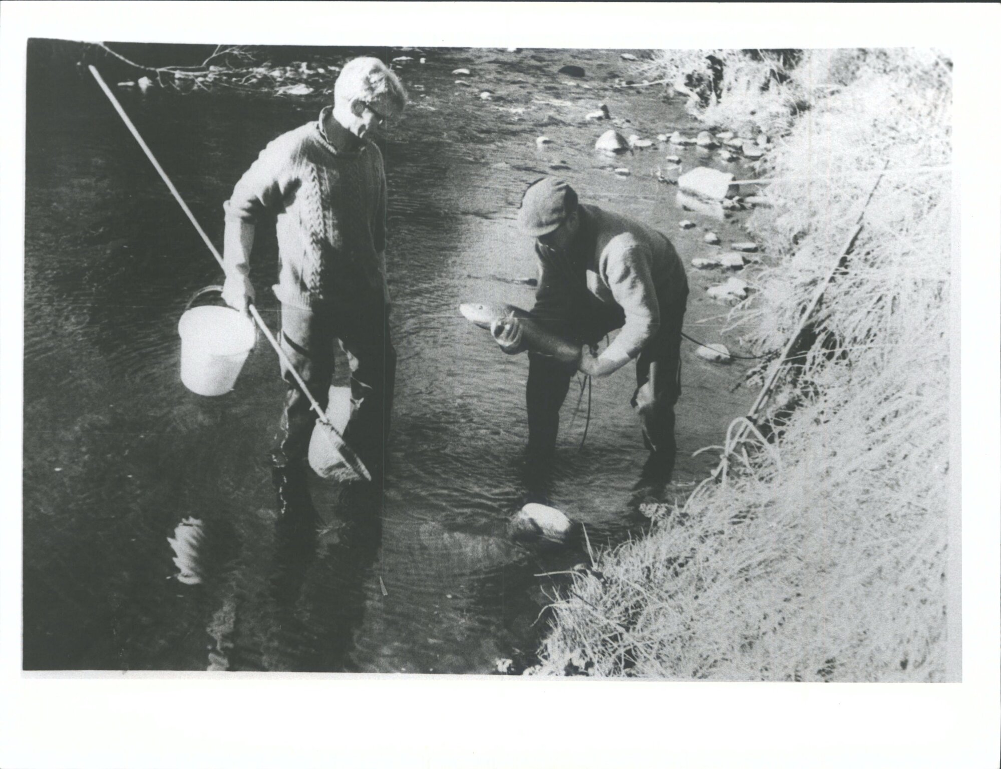 Fishing in the Waitati River